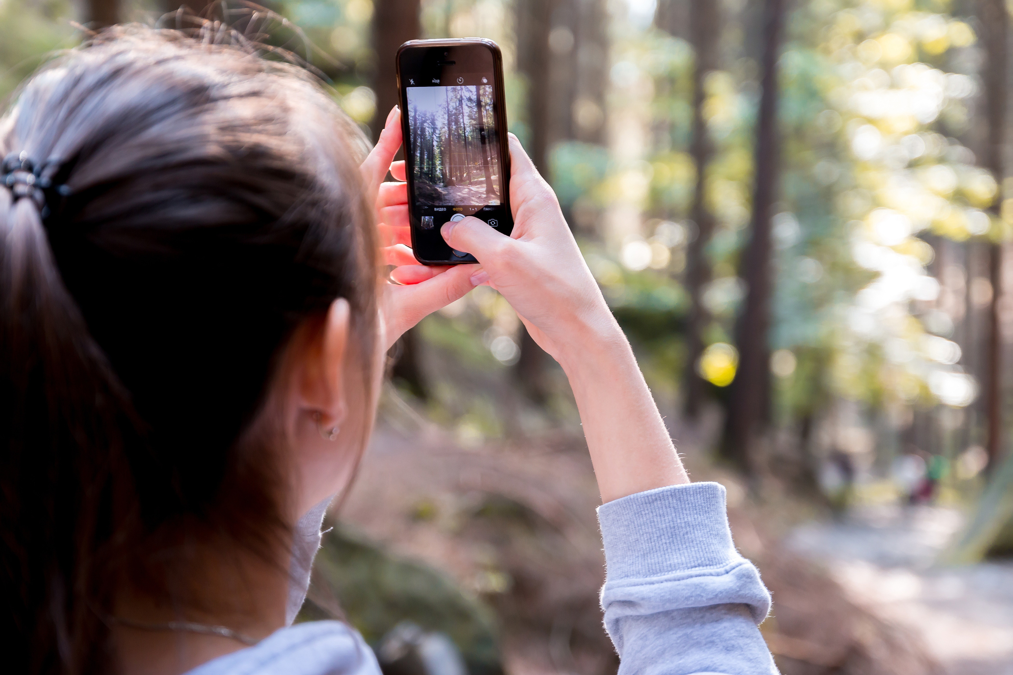 Woman using her smartphone while taking the picture the forest photo