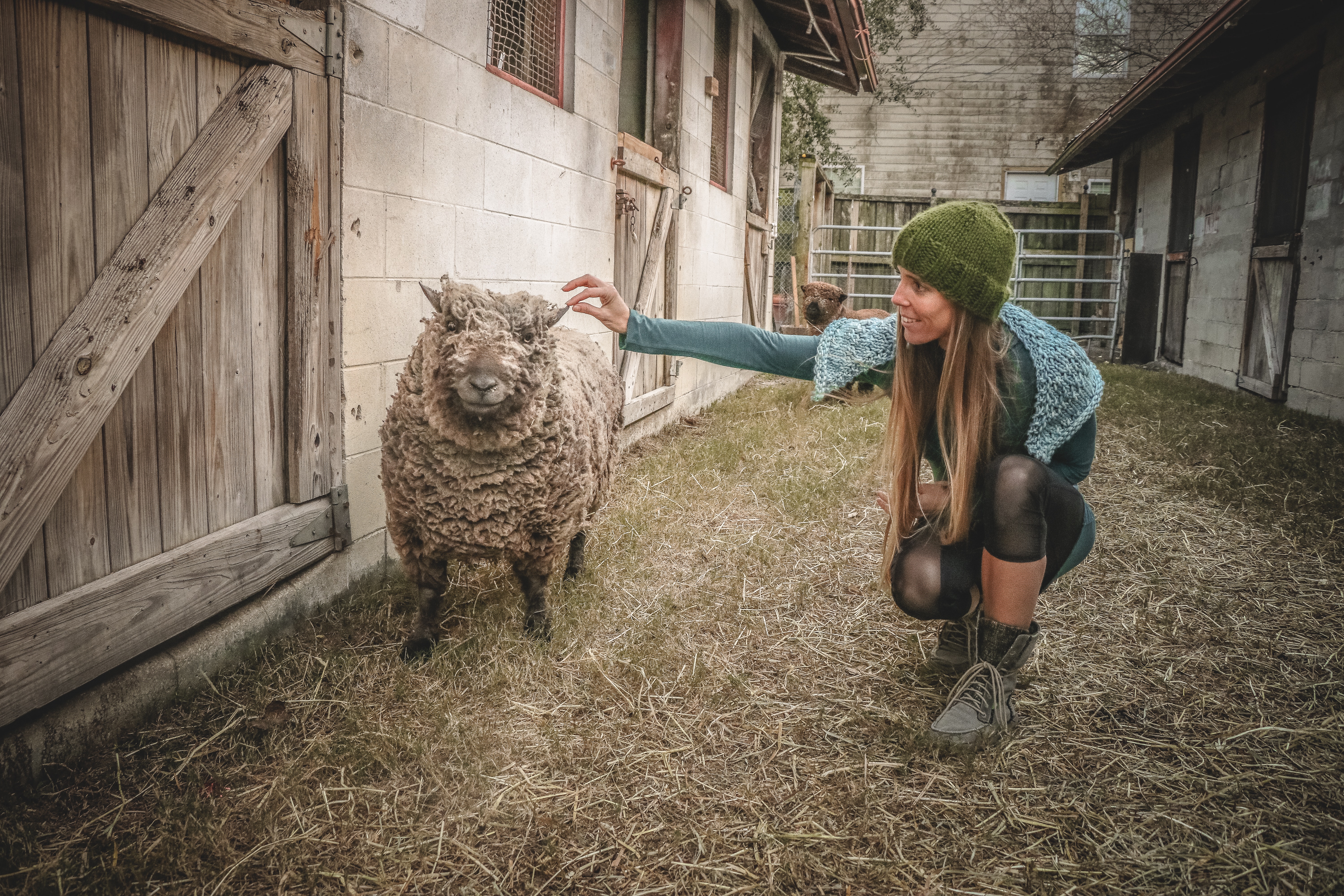 Woman wearing beanie beside sheep photo