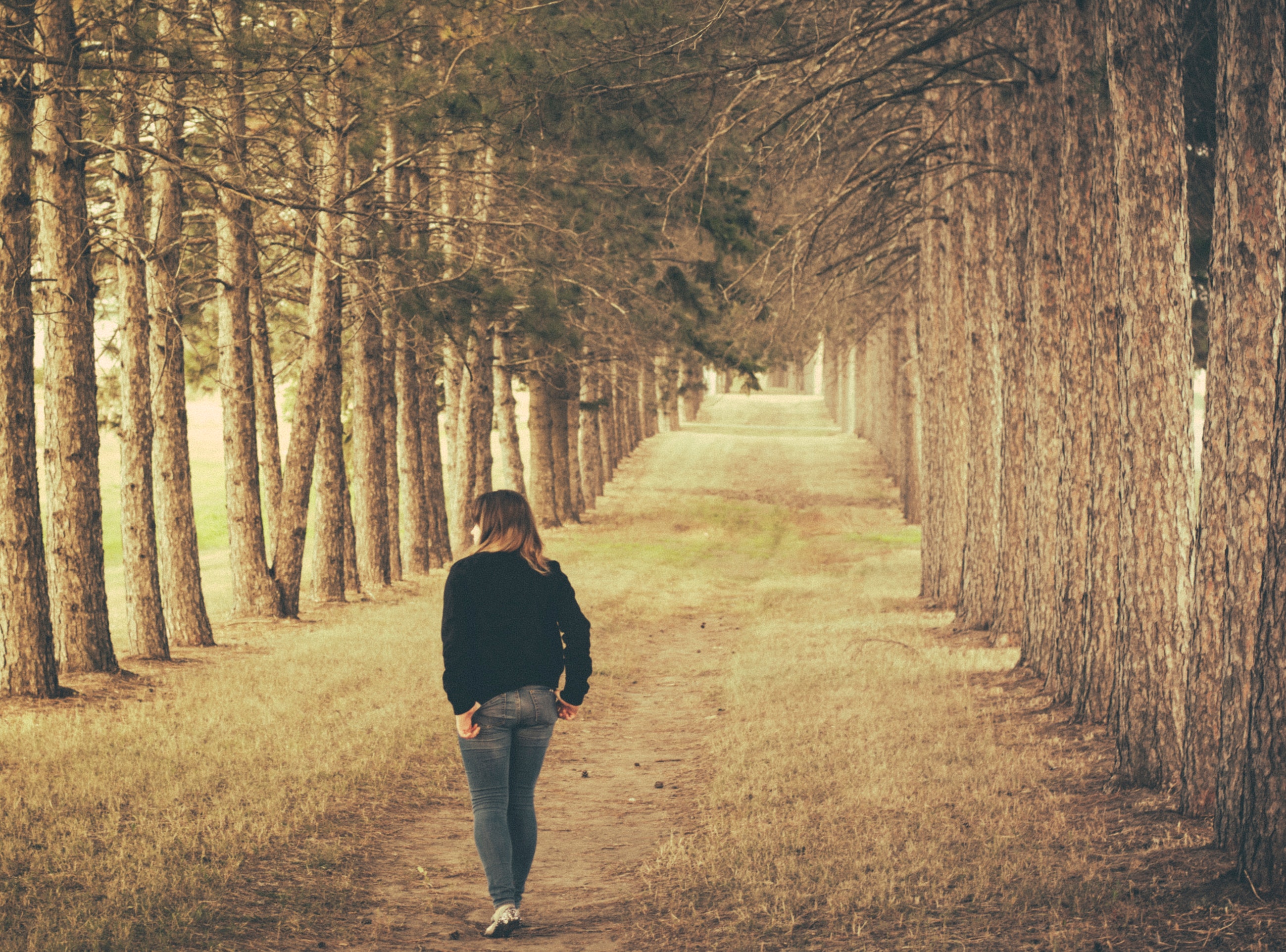 Woman wearing black longsleeve and gray jeans walking on brown forest photo
