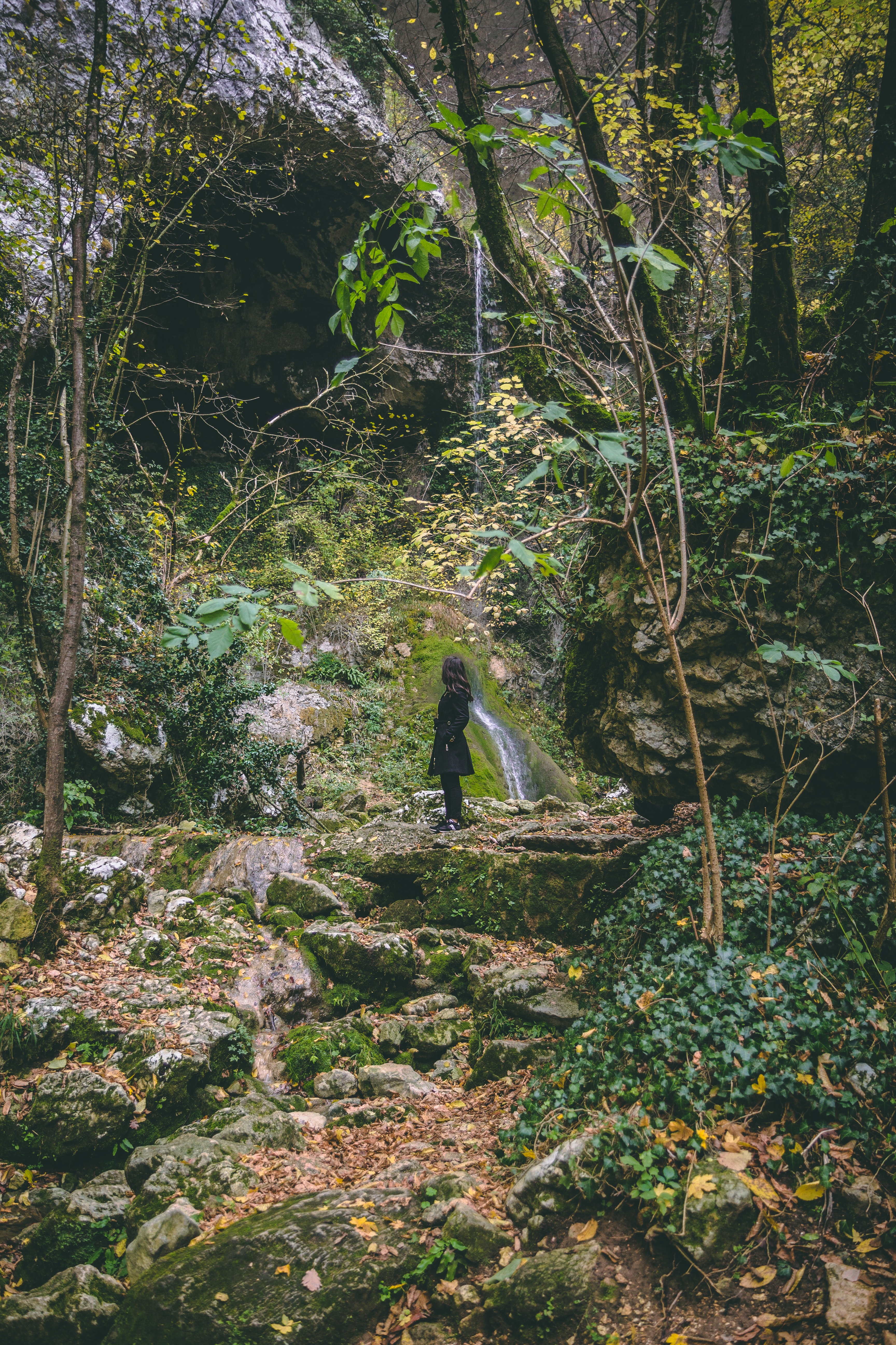 Woman wearing black trench coat in the forest photo