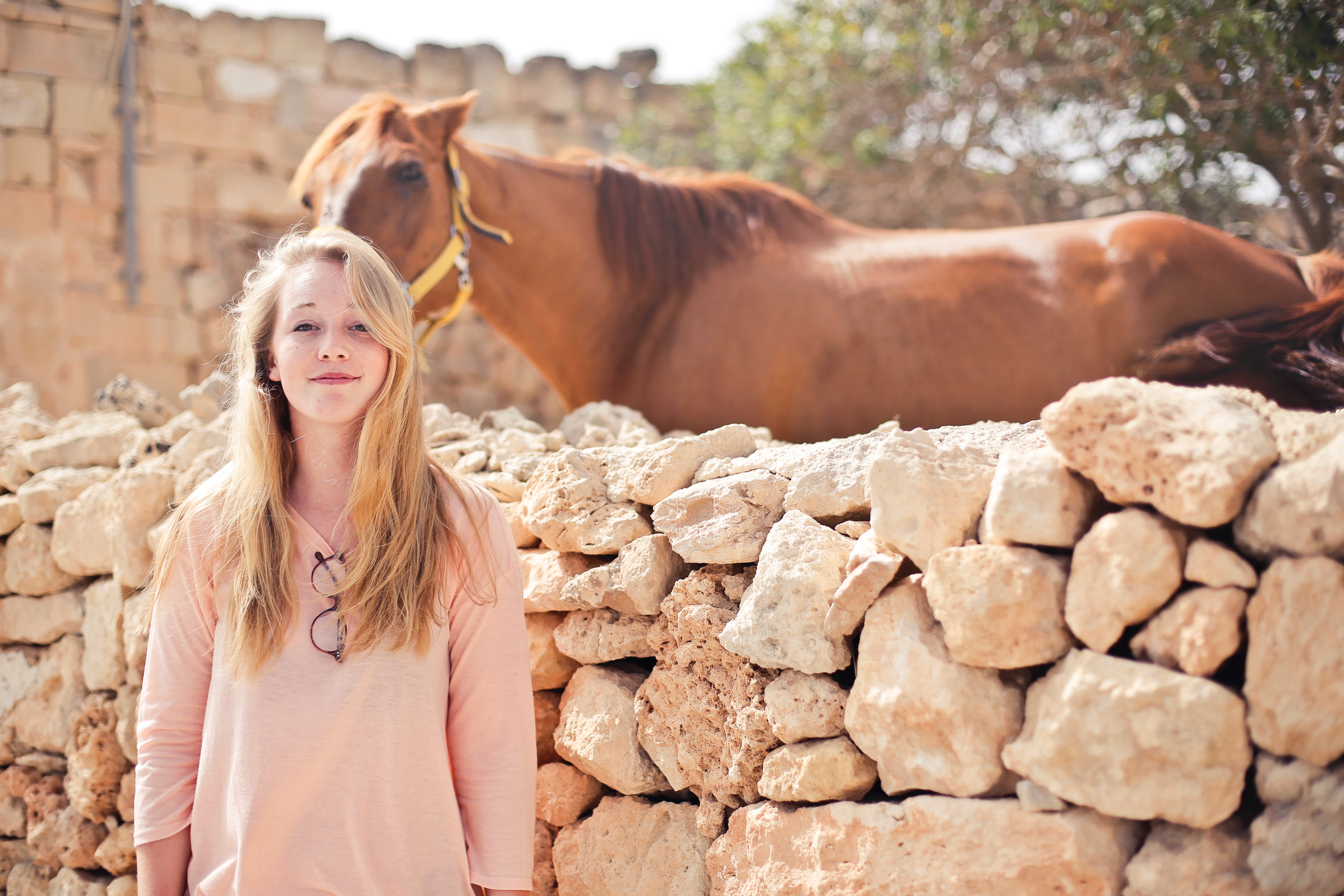 Woman Wearing Pink V-neck 3/4 Sleeved Shirt With Eyeglasses Standing in Front of Brown Horse, Adorable, Rocks, Woman, White, HQ Photo