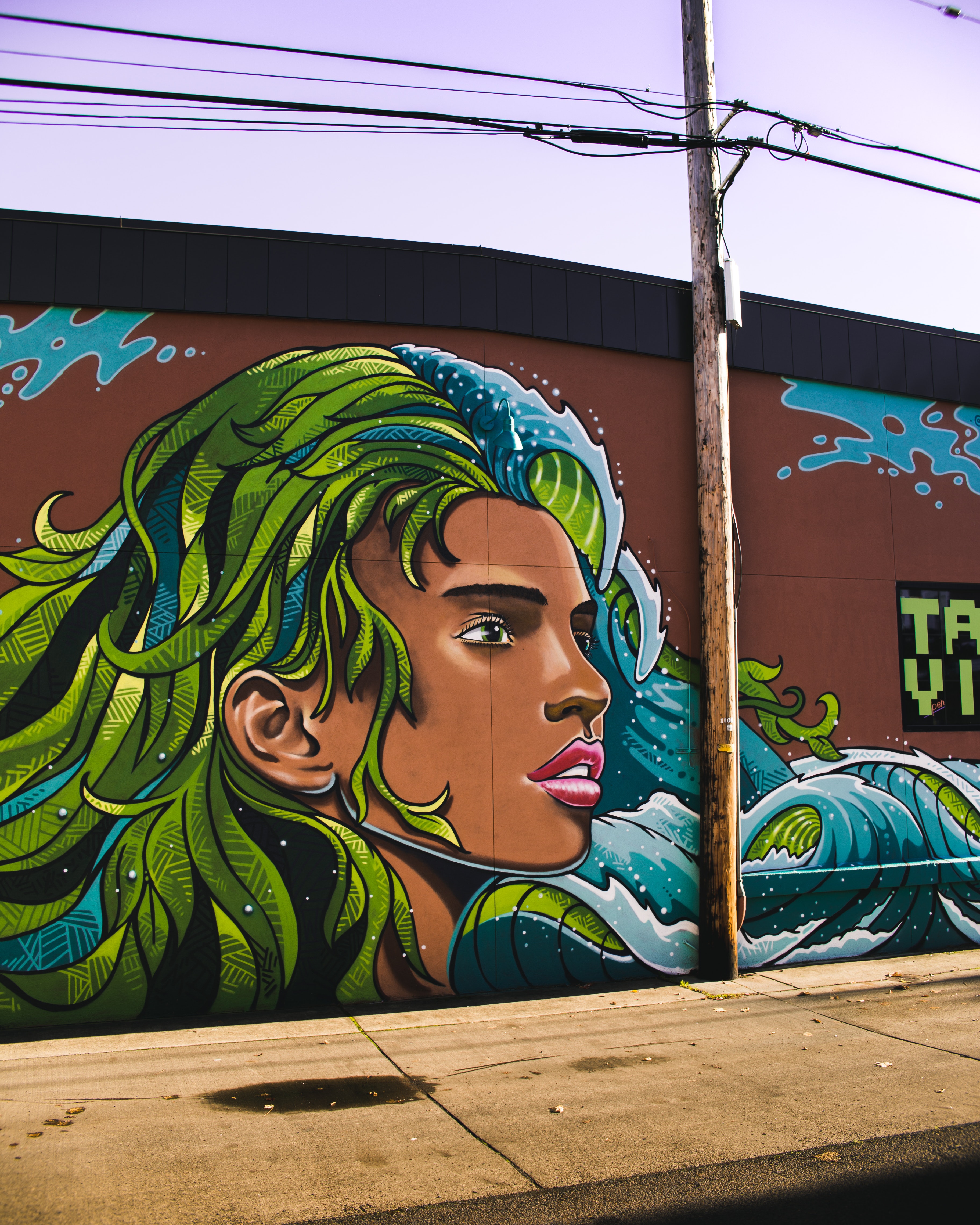 Woman with blue and green haired wall painting photo