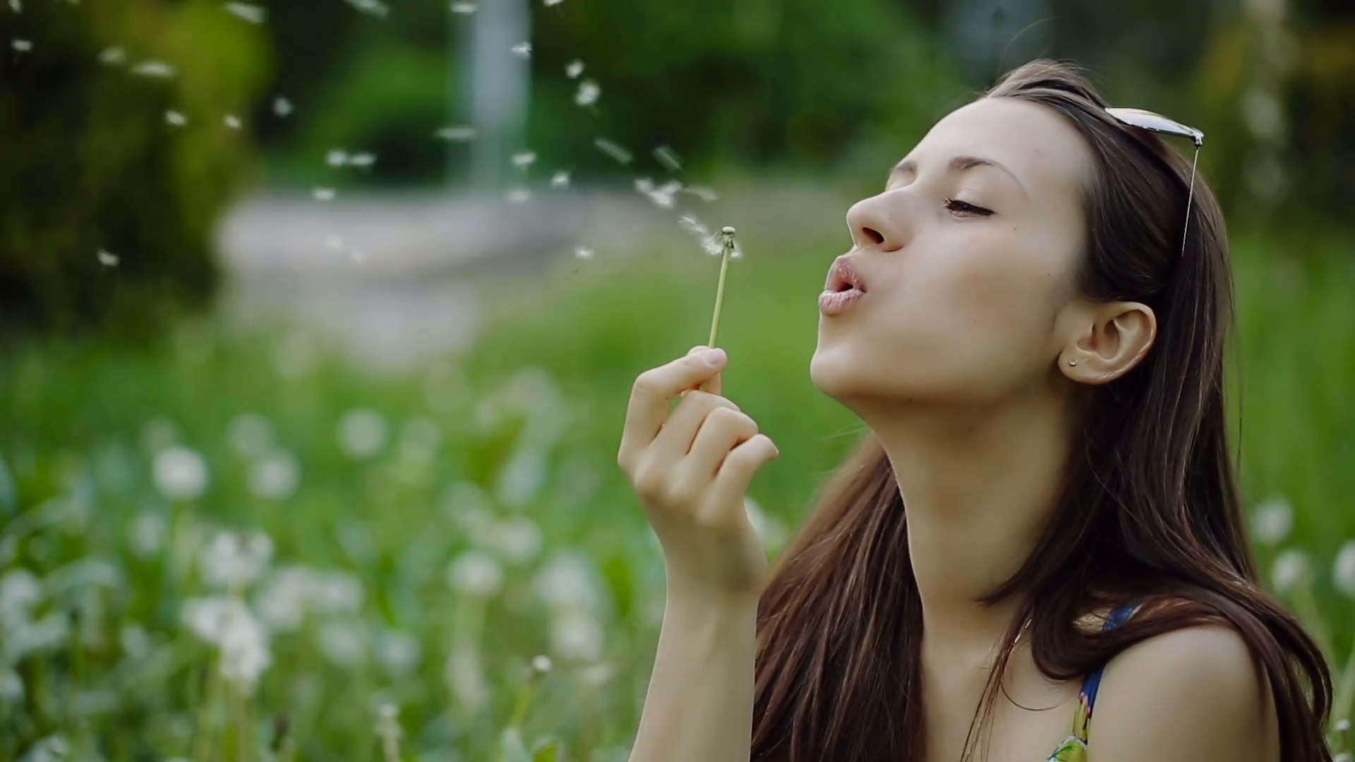 Woman Blowing Dandelion on a Summer Field Stock Video Footage ...