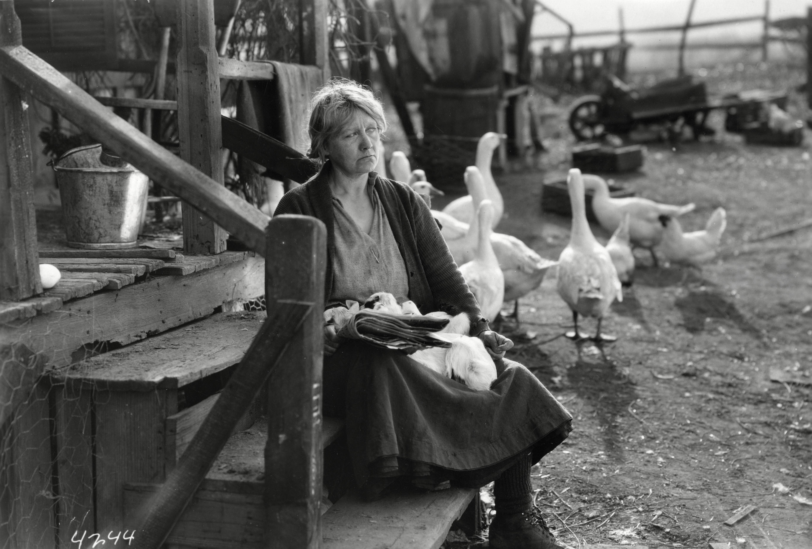 Woman with goose photo