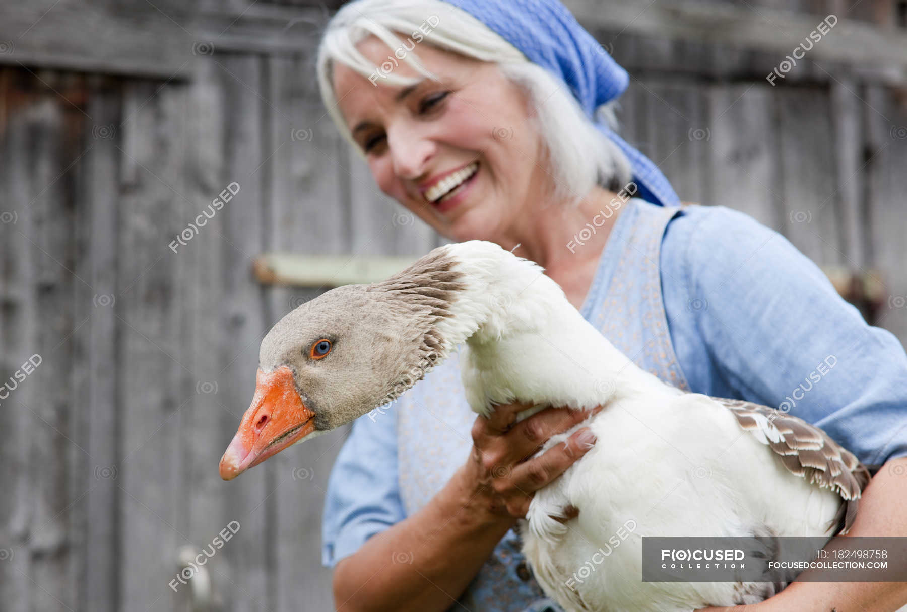 Mature woman with goose on farm — Stock Photo | #182498758