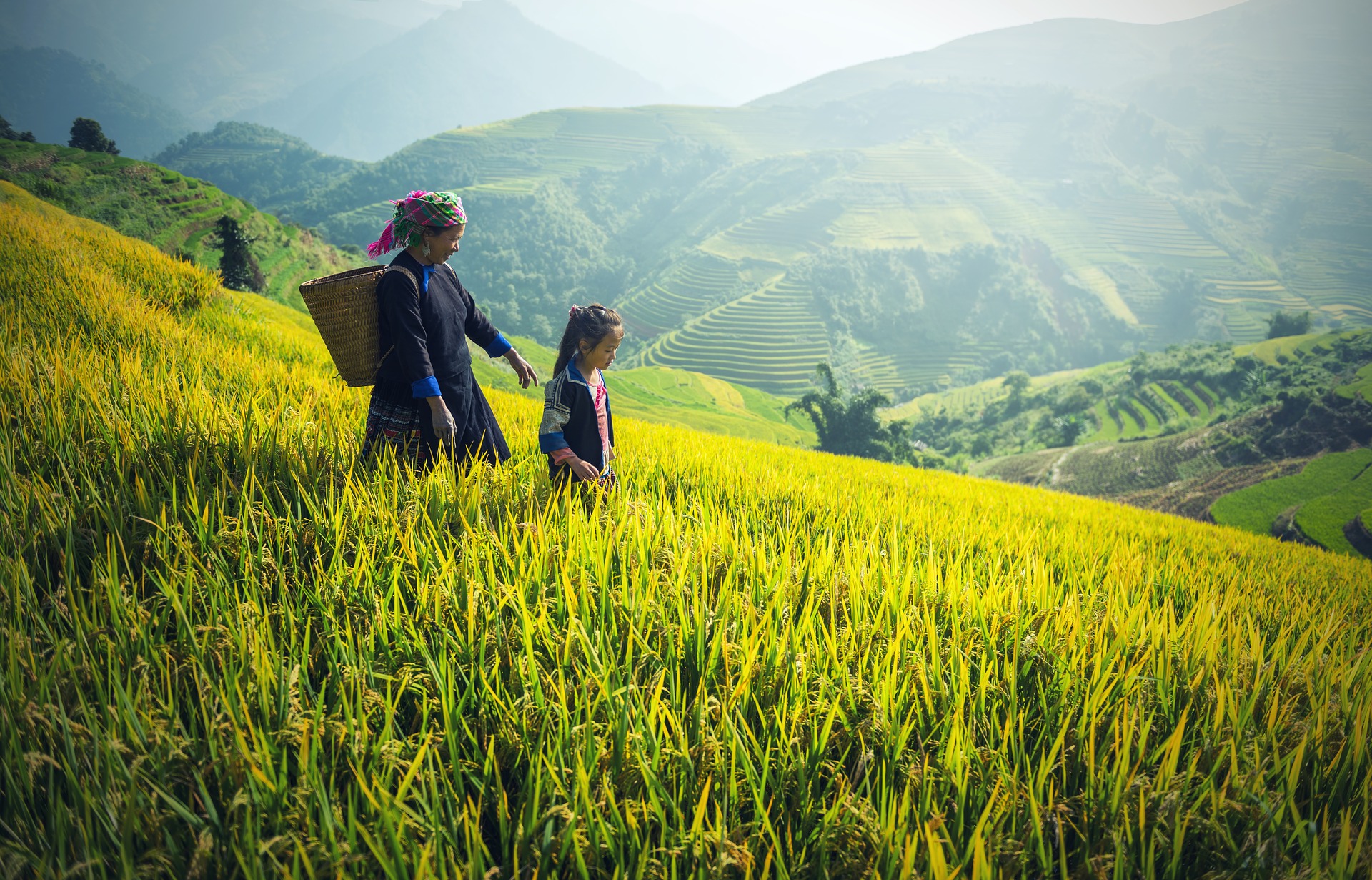 Woman with her child in the rice field photo