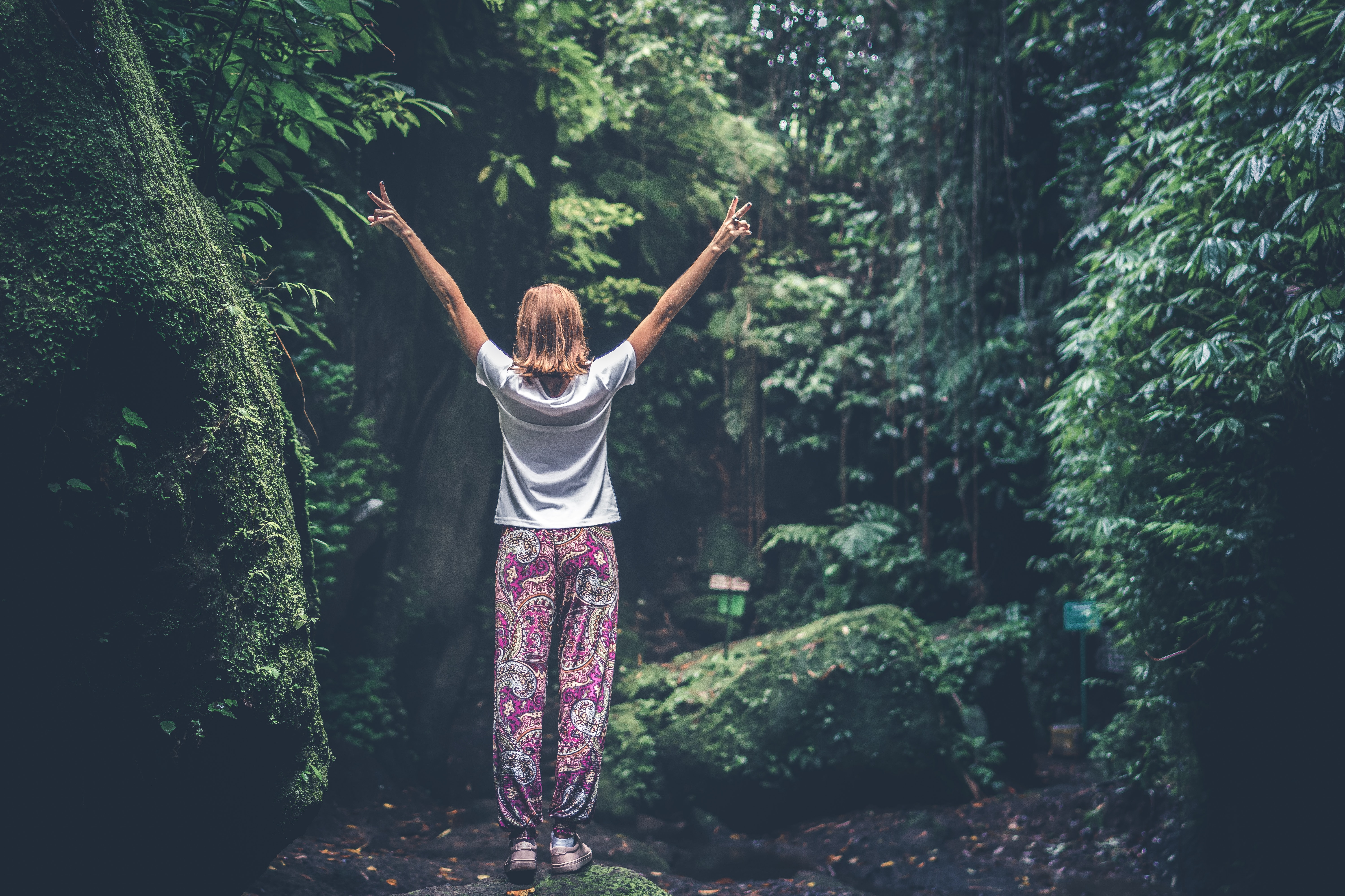 Woman with raising arms facing pathway between forest trees photo