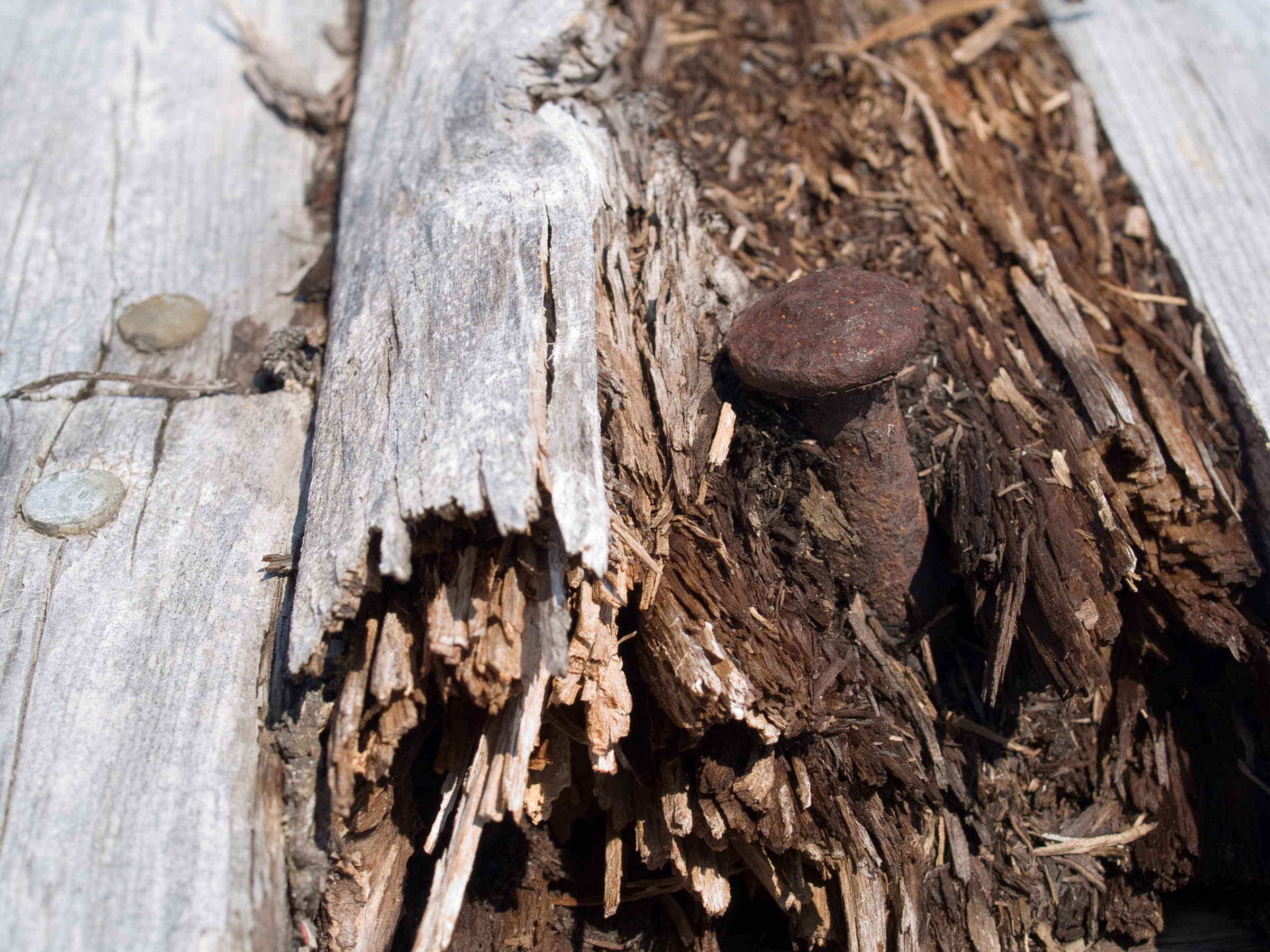 Wood, Aging, Textured, Plank, Rot, HQ Photo