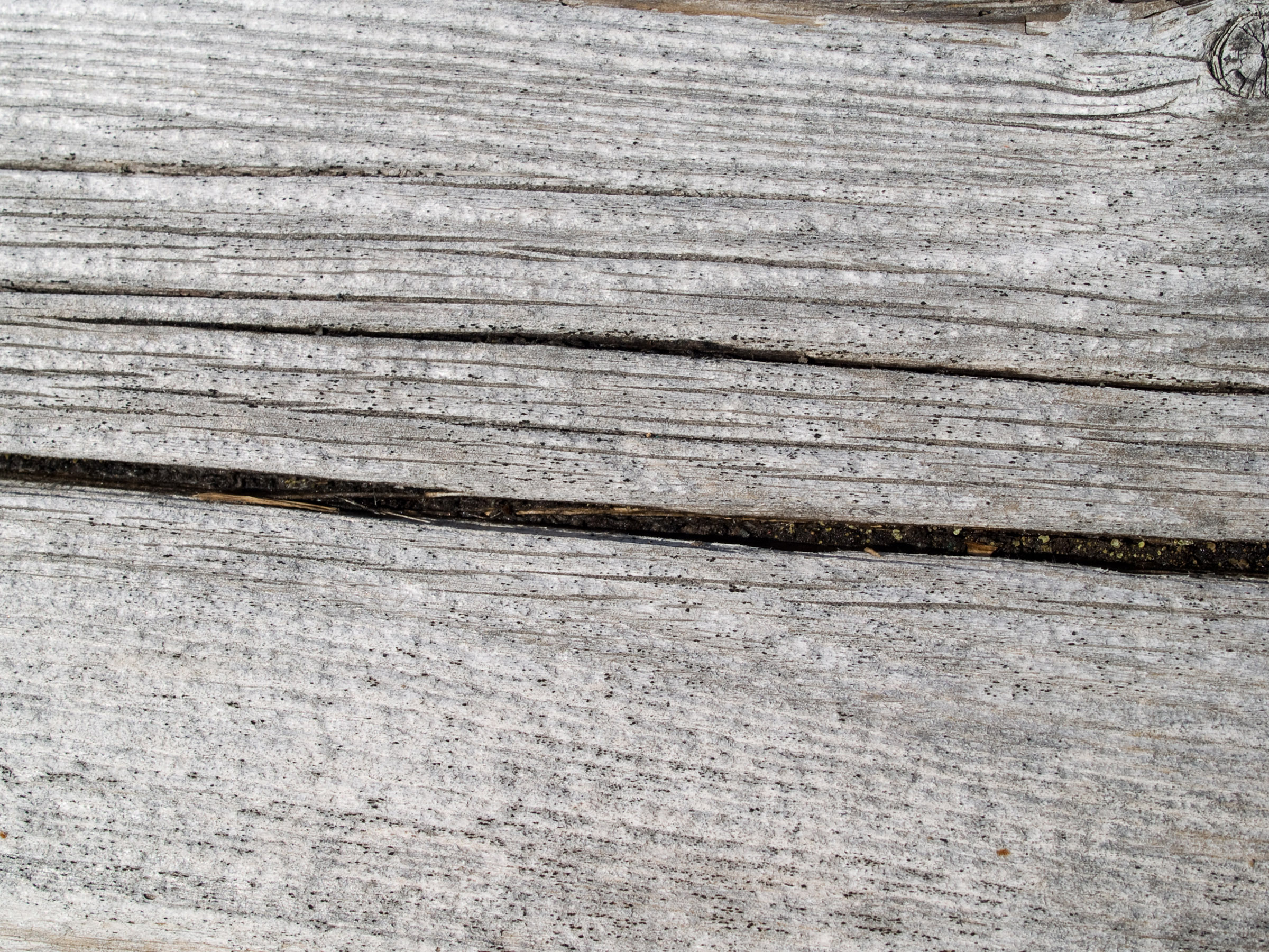 Wood, Aging, Time, Plank, Rot, HQ Photo