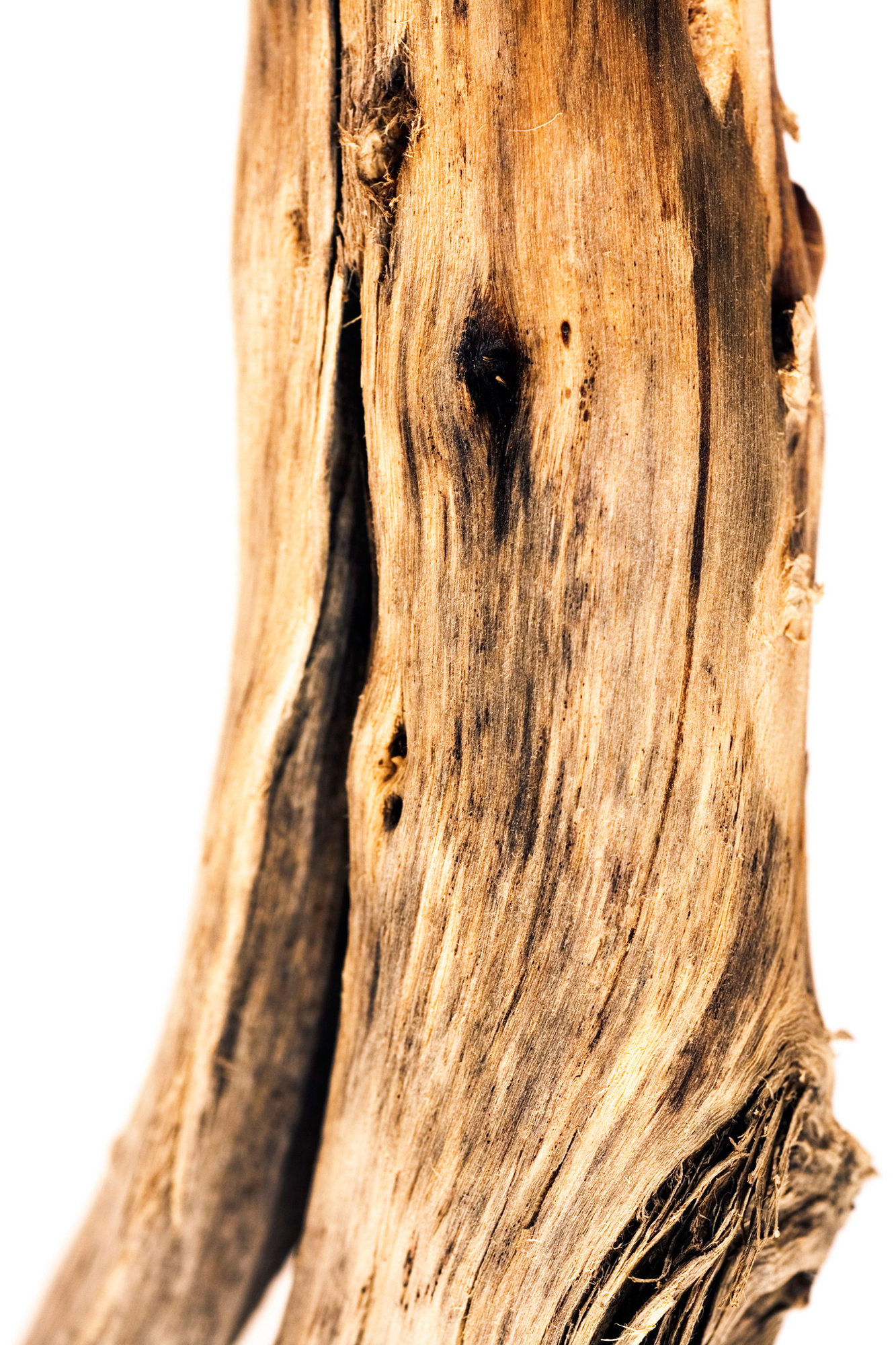 wood background, Wooden, Oak, Wood, White, HQ Photo