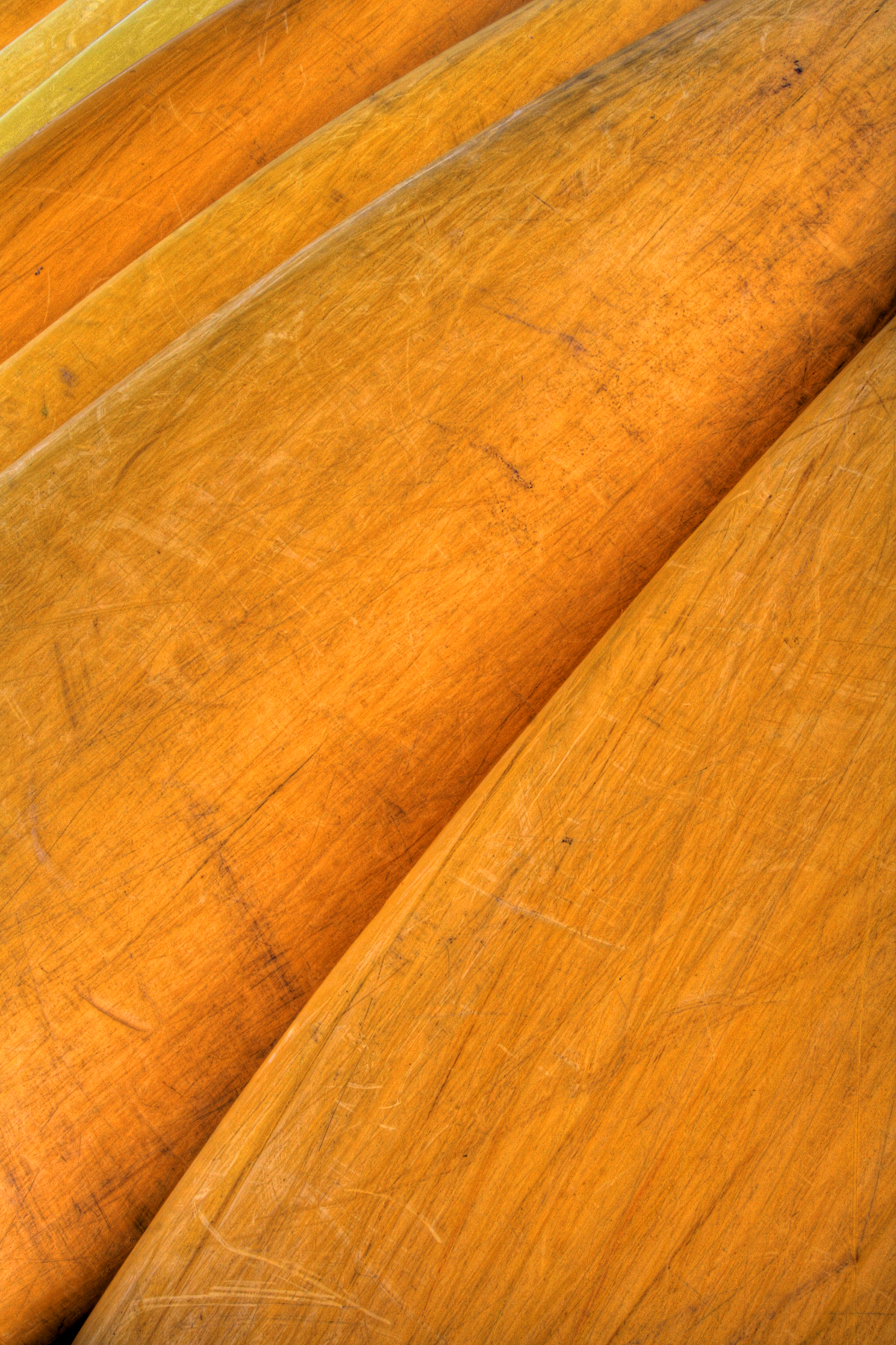 Wood canoes texture - hdr photo