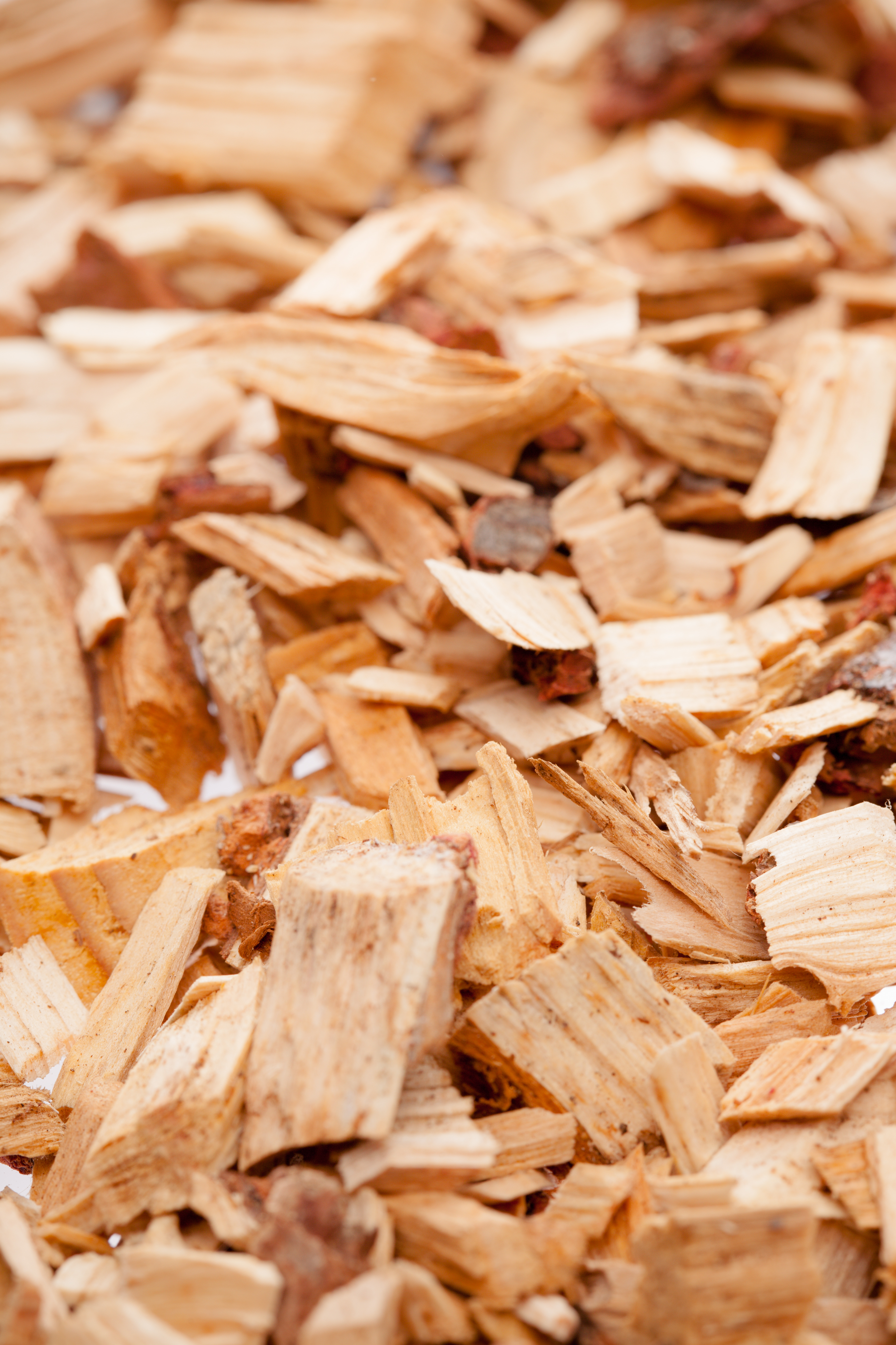Wood chips background photo