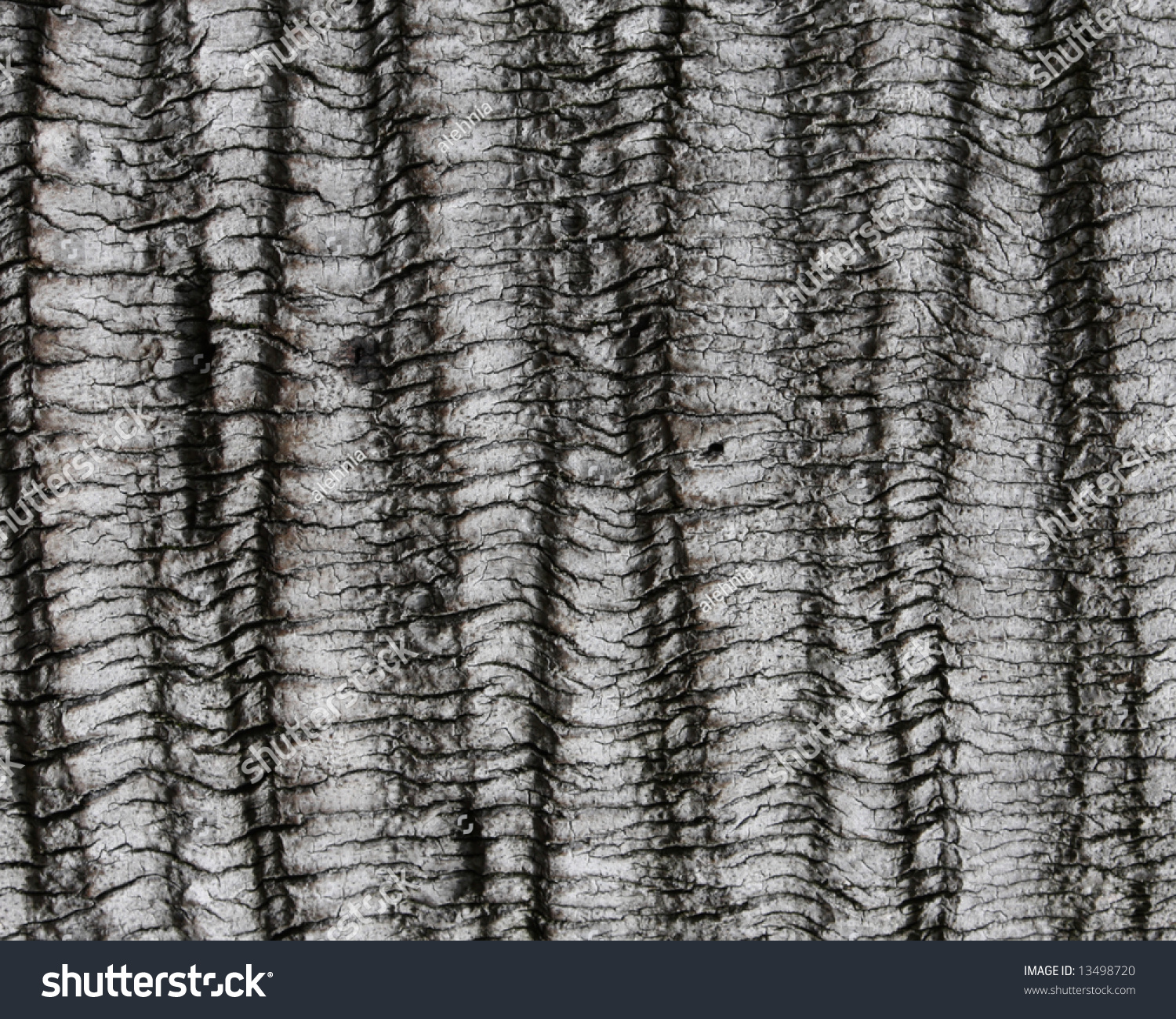 Abstract Old Wood Crust Texture Stock Photo 13498720 - Shutterstock