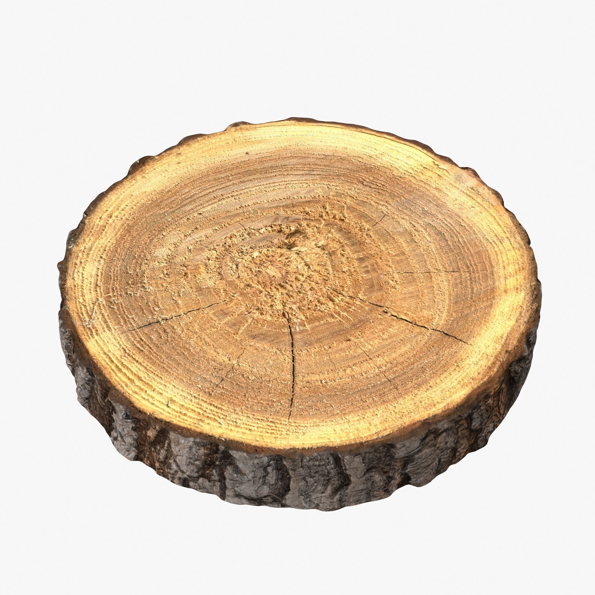 3D Wood Log Slice | CGTrader