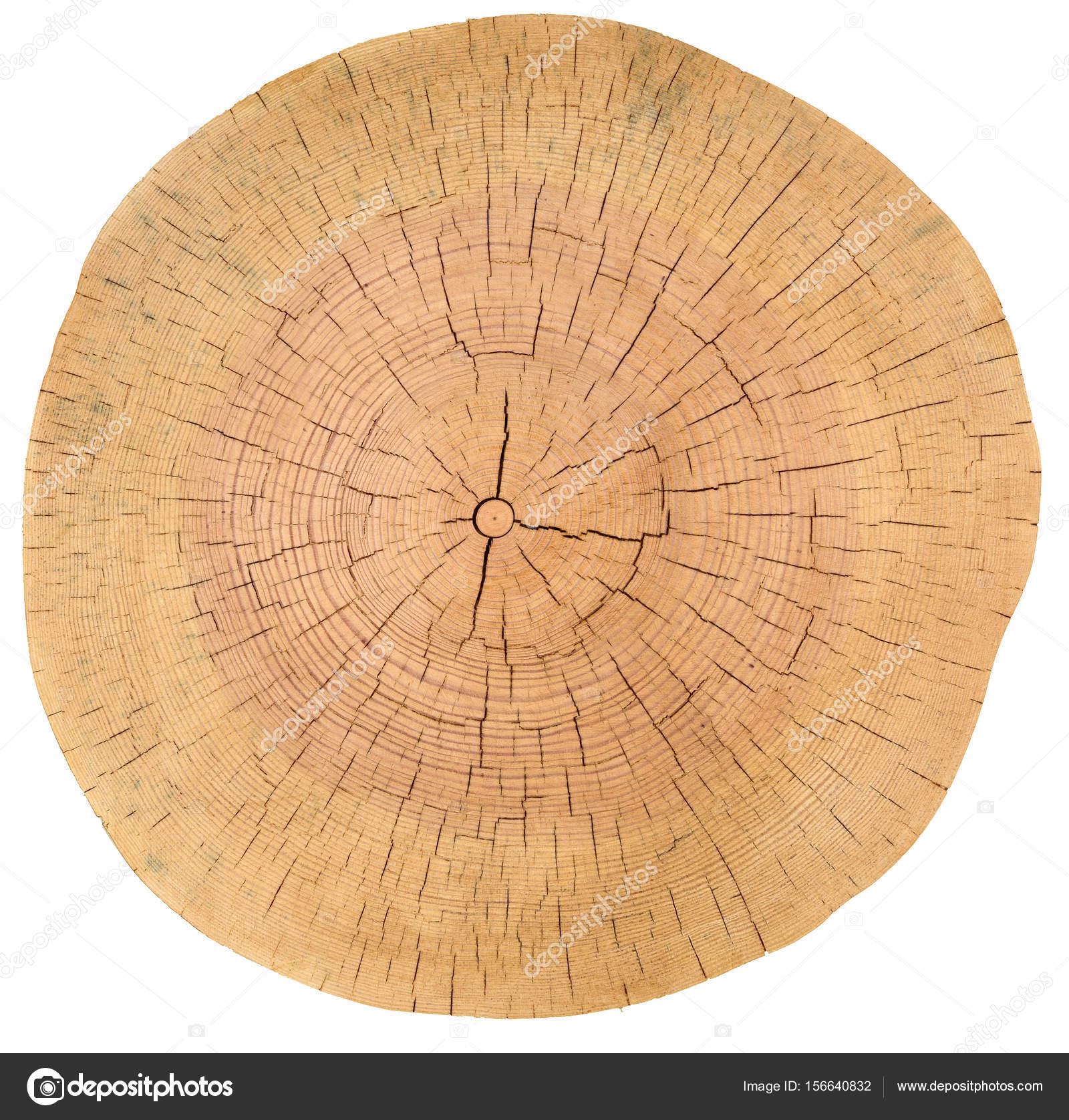 Tree Rings, Wood, log. Wooden texture — Stock Photo © Interpas ...