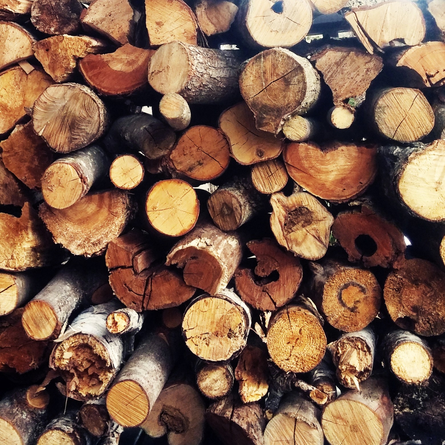 wood-logs-lumber -alana.io