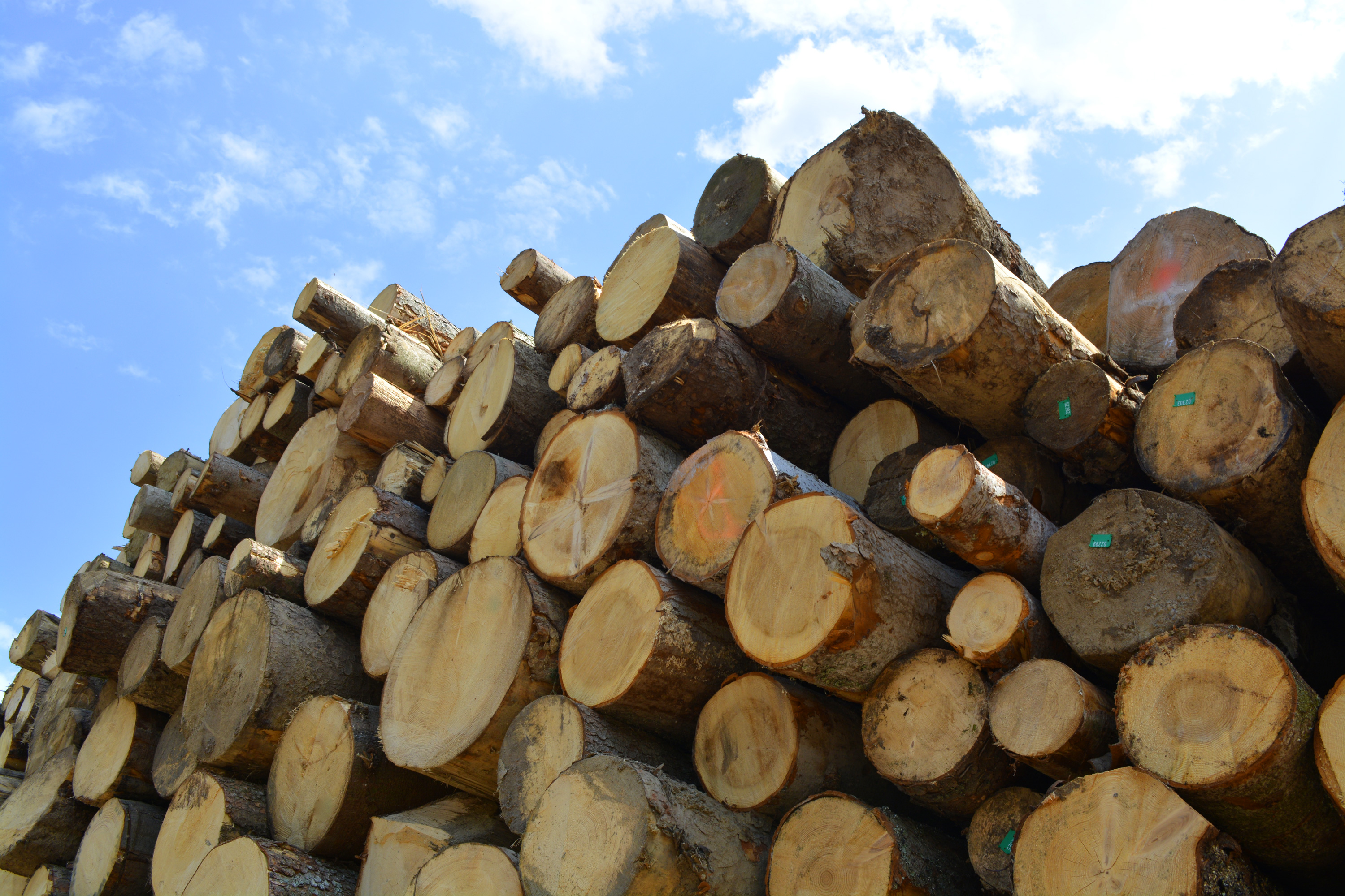 Wood logs, Woodpile, Piece, Wooden, Wood, HQ Photo
