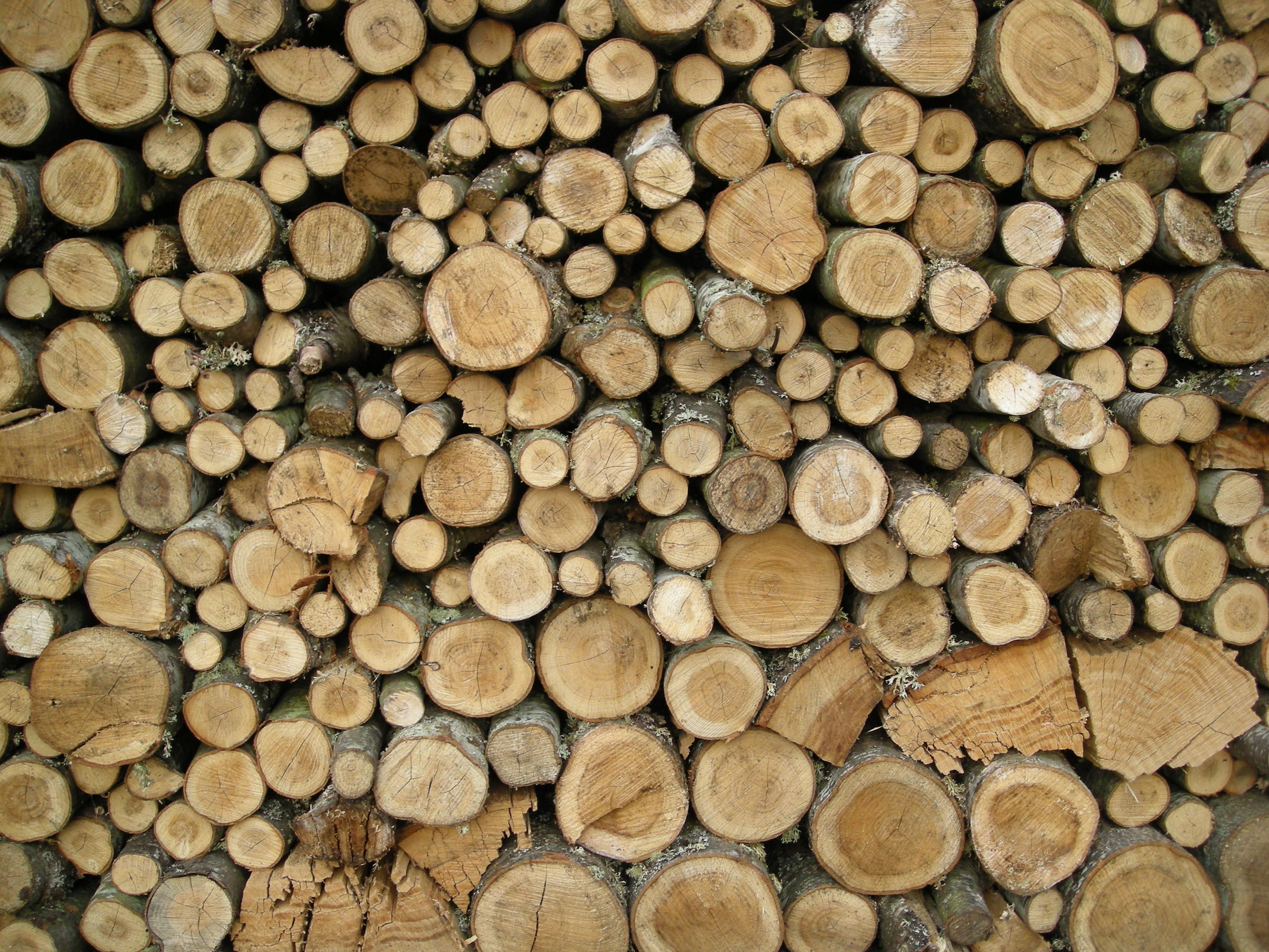File:Stacked wood.JPG - Wikimedia Commons