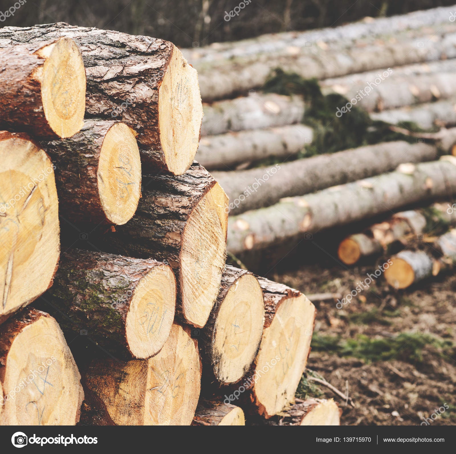 Pile of wood logs ready for winter — Stock Photo © Alexis84 #139715970