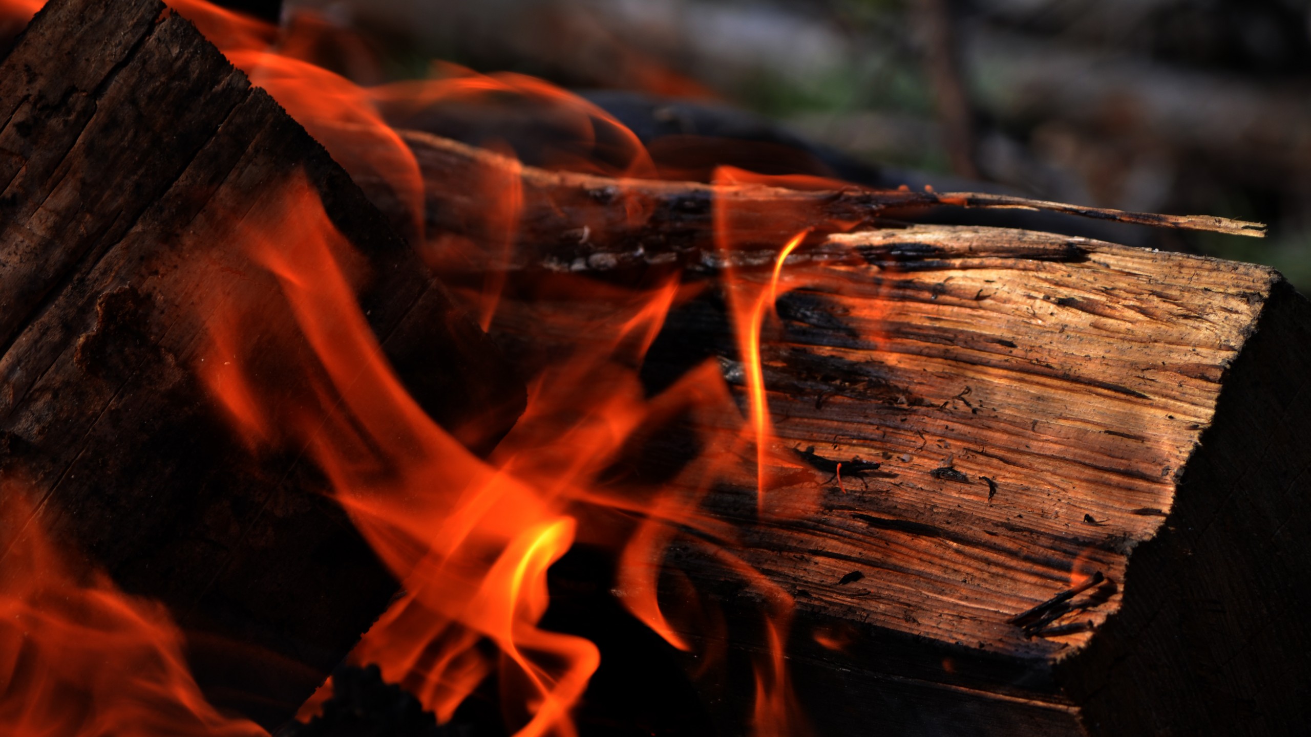 as fire eats the wood | Sahibul-Saif Sheykh Abdul Kerim al-Kibrisi