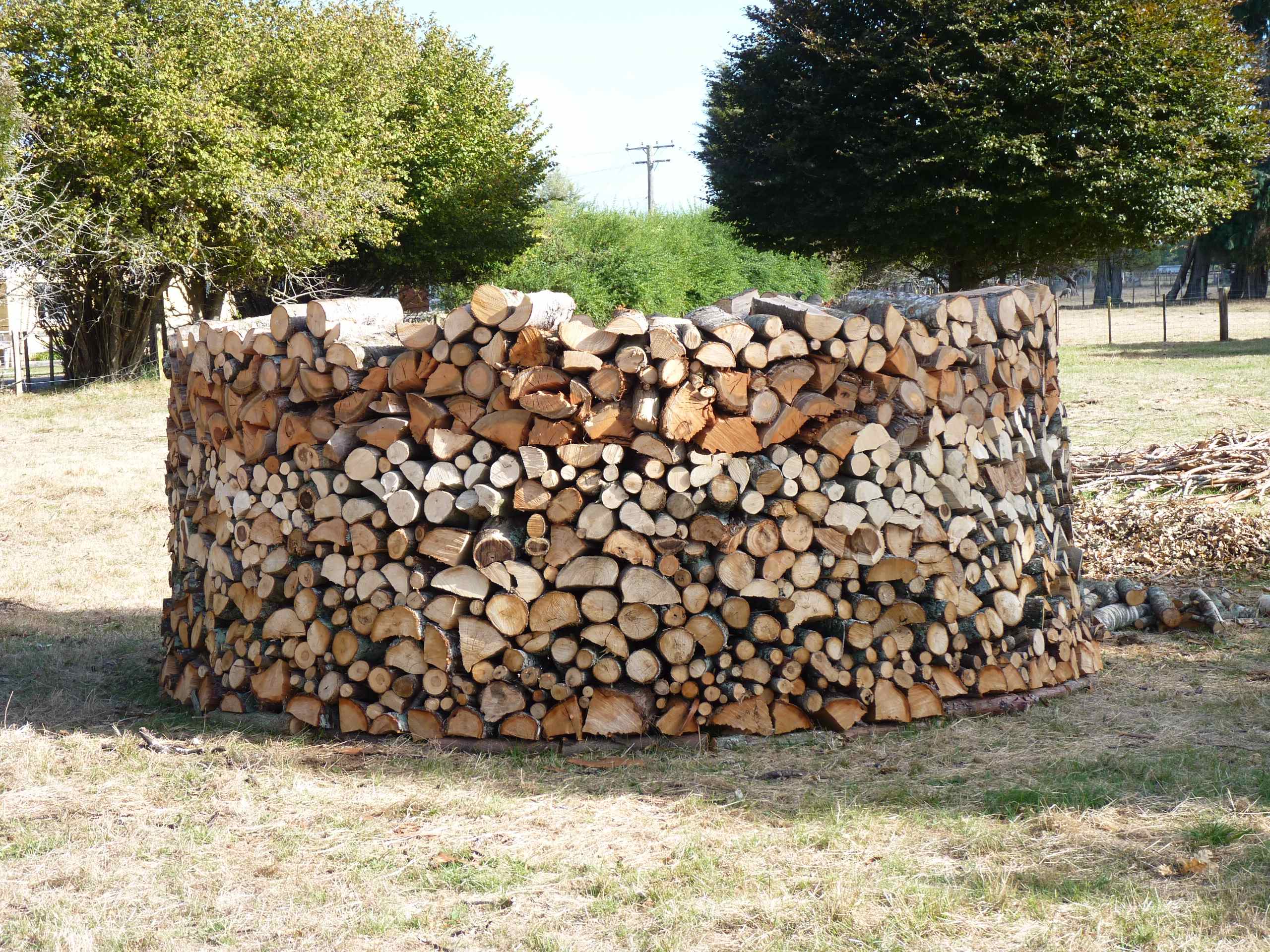 Wood pile photo