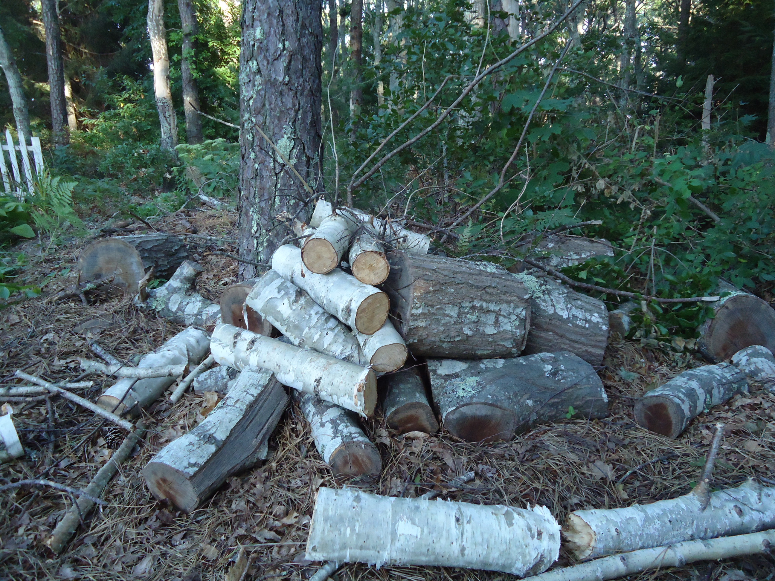 Wood Pile, Cut, Fire, Firewood, Logs, HQ Photo