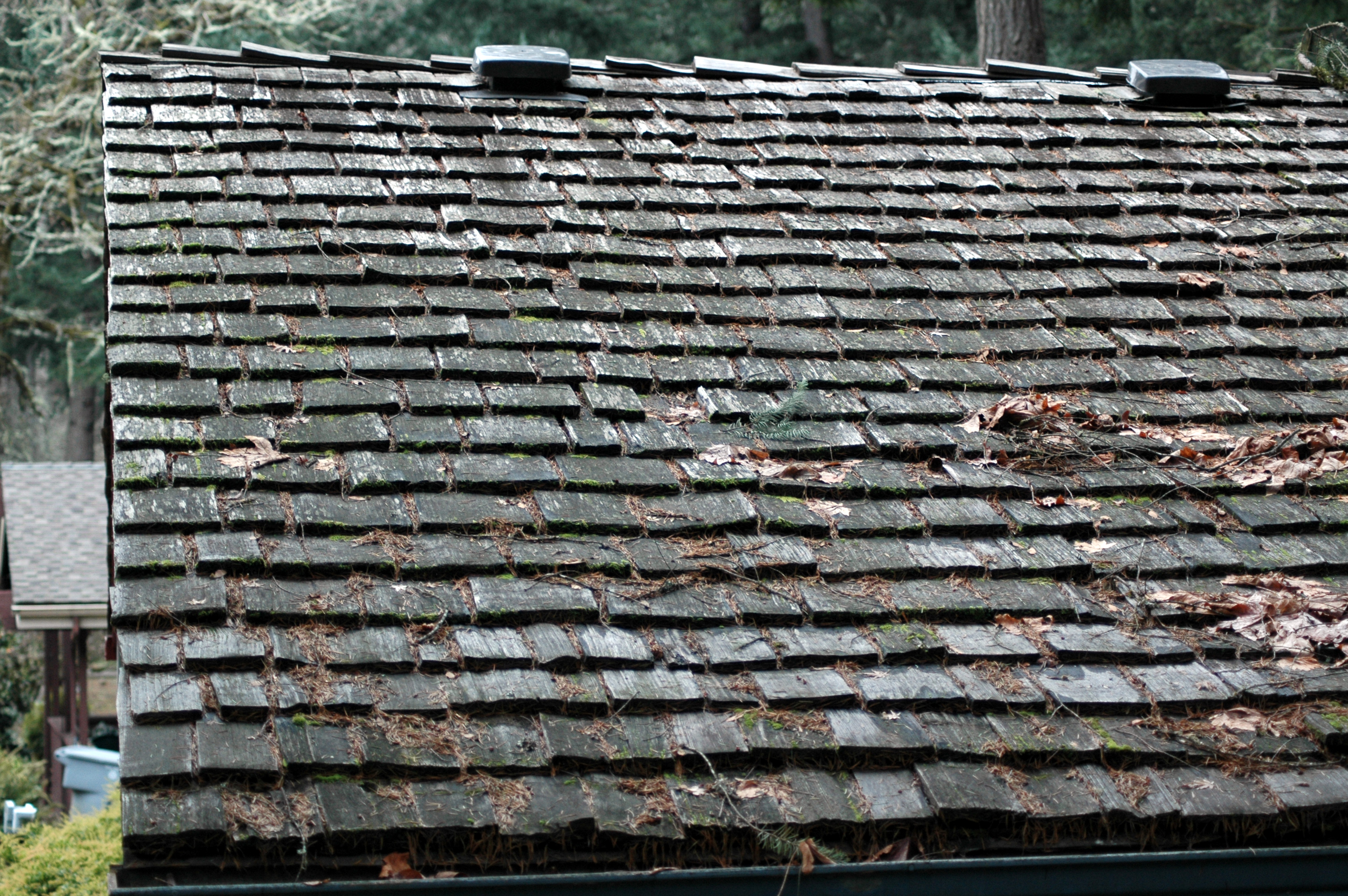 Care and Maintenance of Wood Shingle and Shake Roofs | Pacific ...