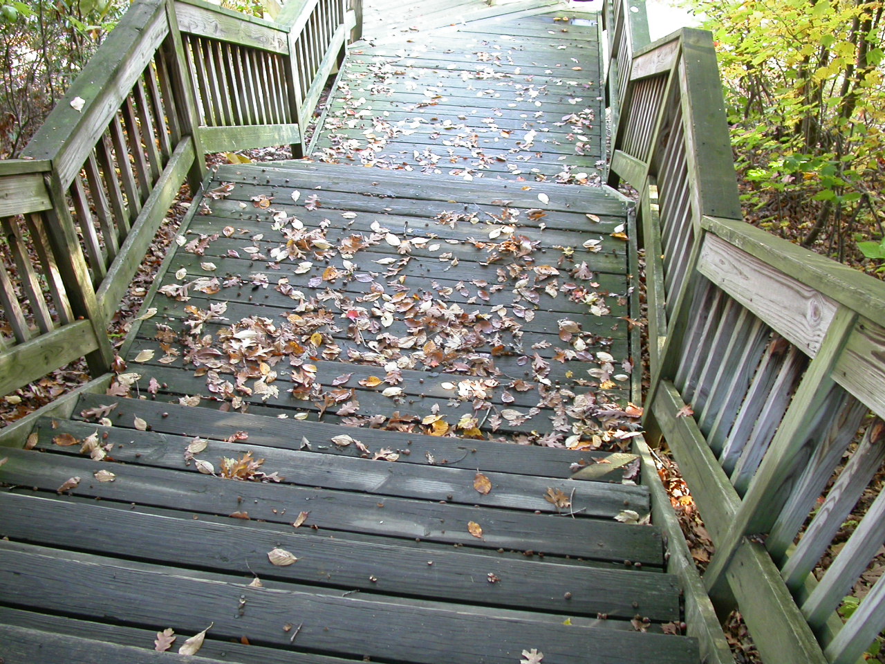 Wood stairs photo