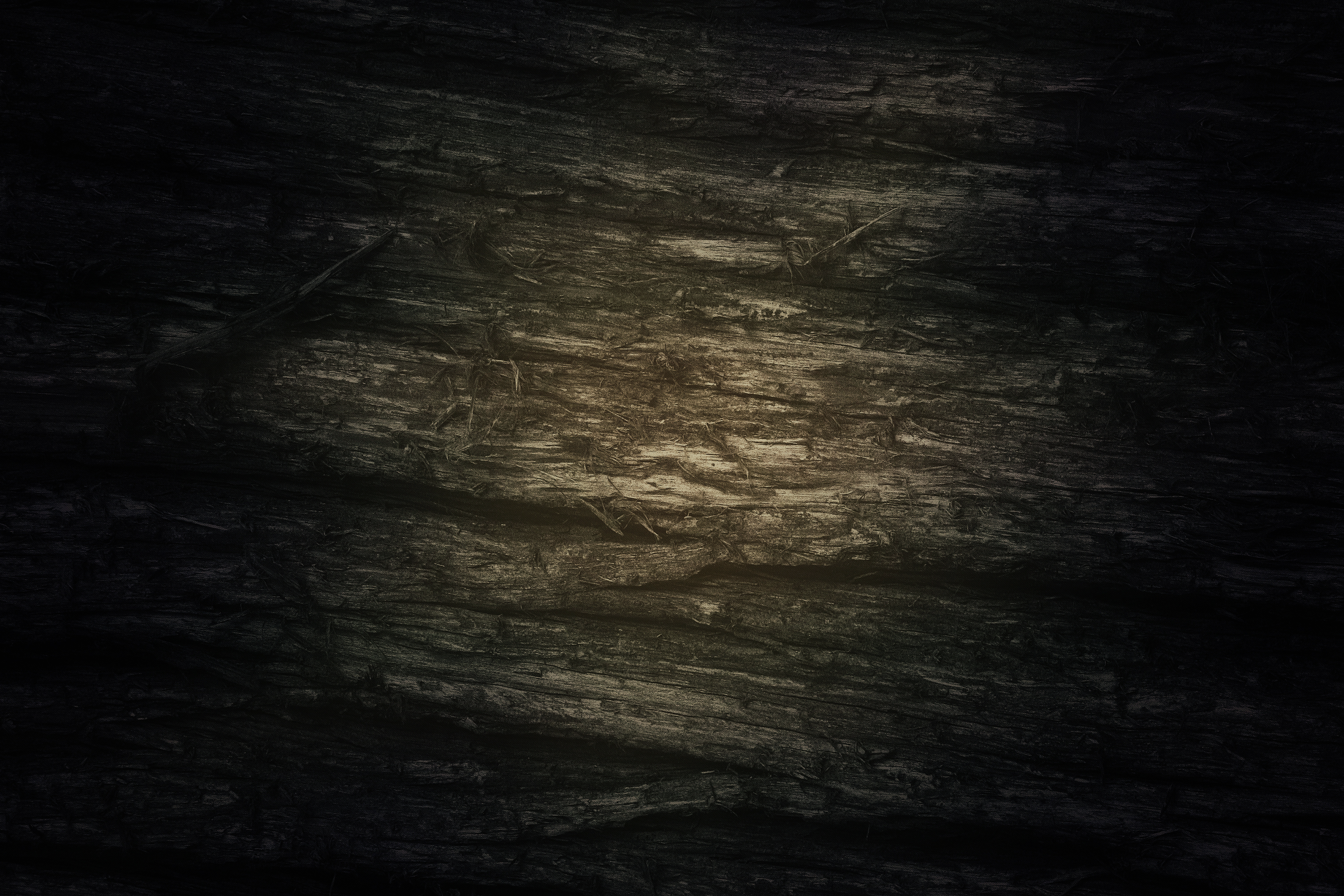 Wood Surface, Abstract, Smooth, Material, Nature, HQ Photo
