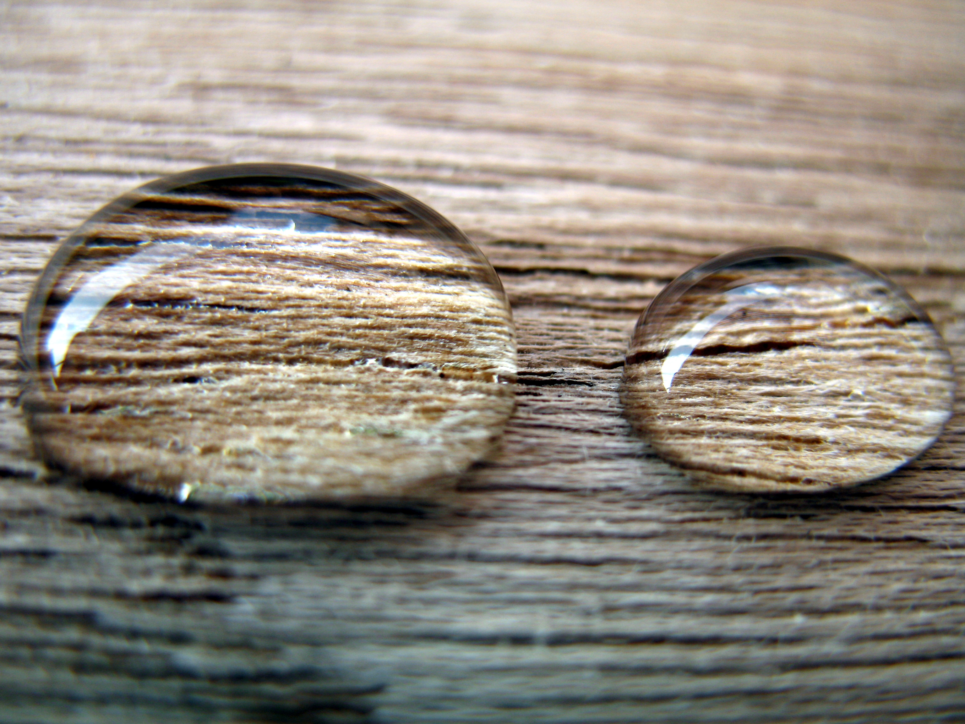 Achieving a superhydrophobic wood surface by a two-step method ...