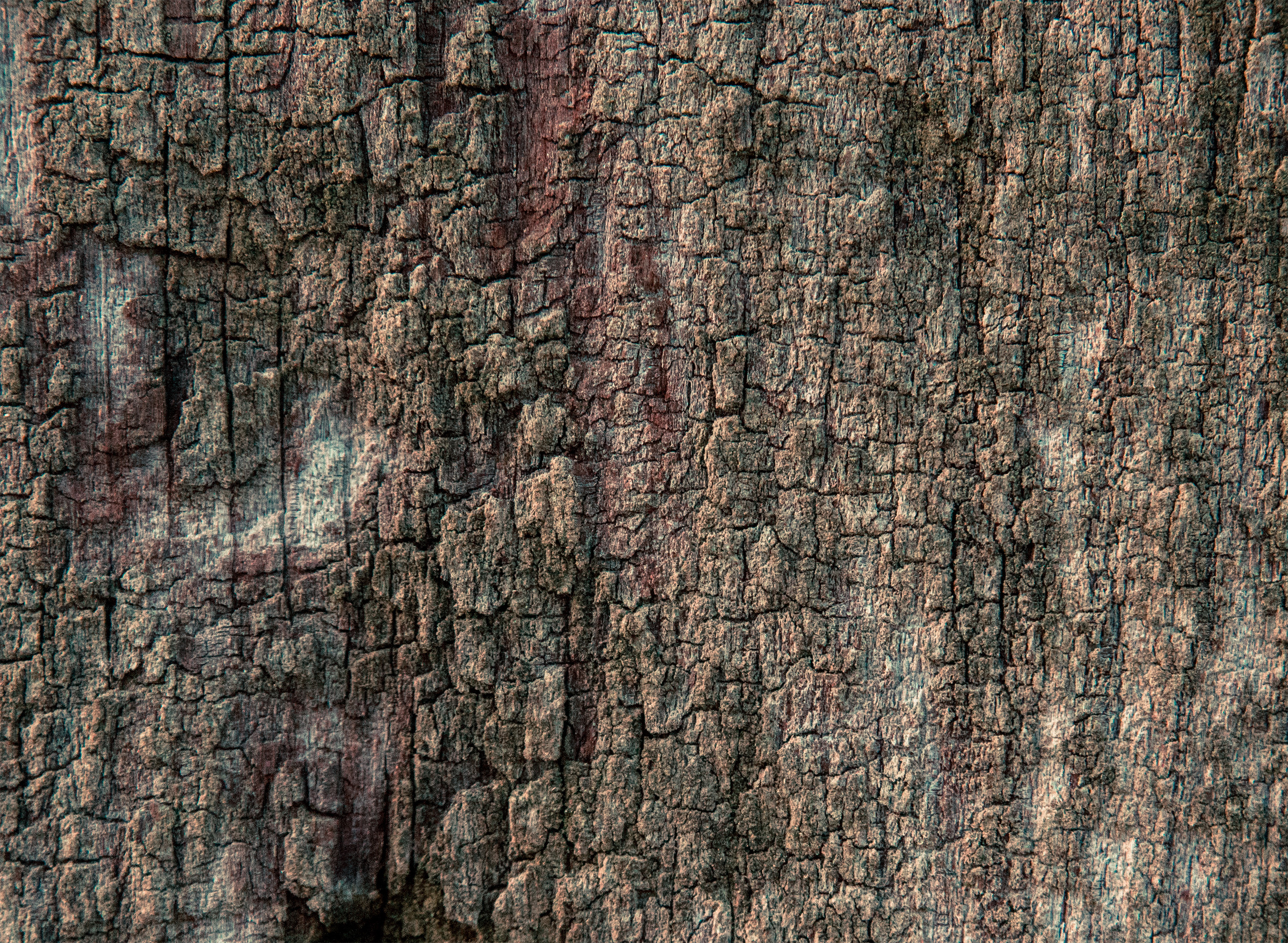 Wood texture, Closeup, Cracked, Dark, Old, HQ Photo