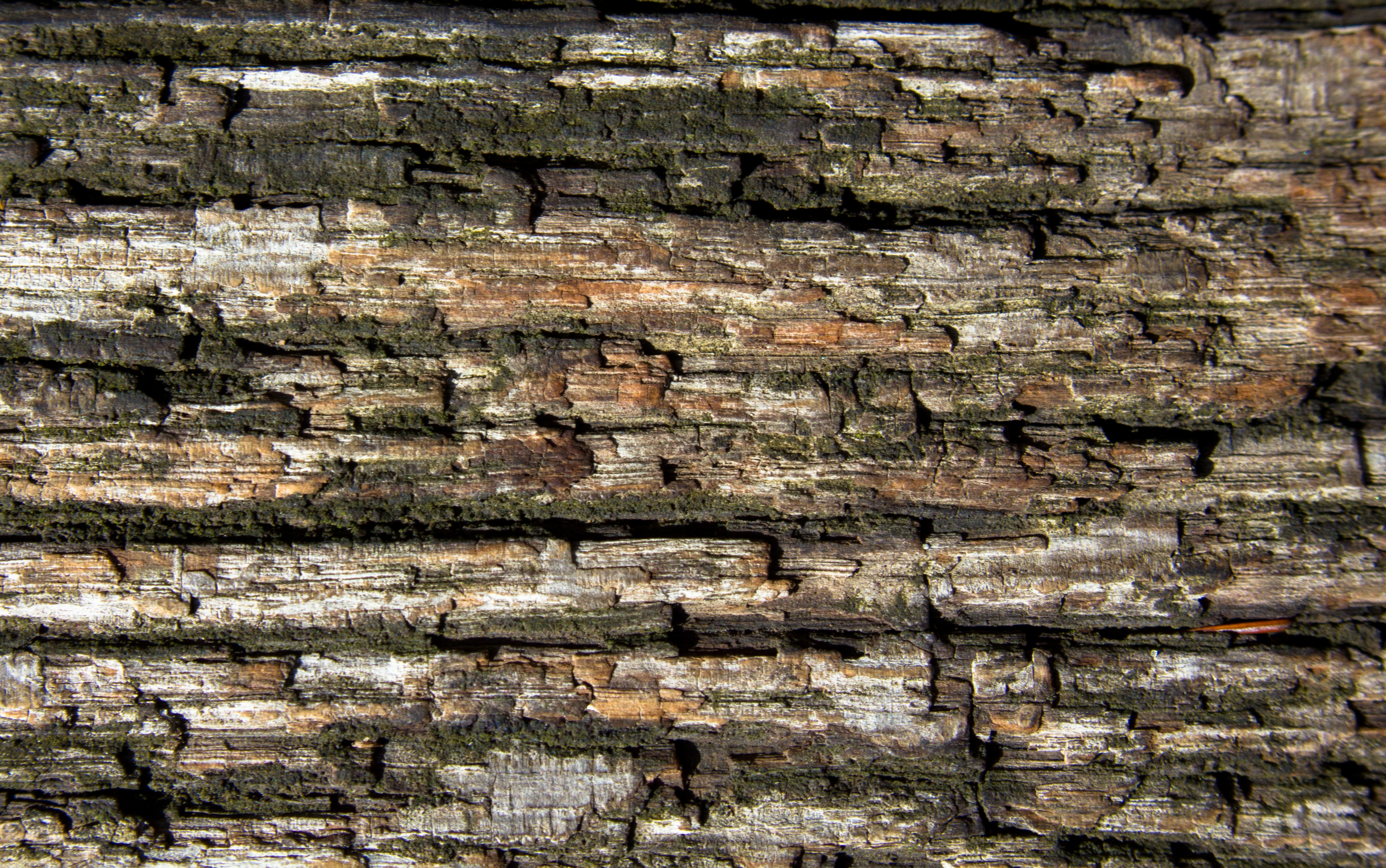 Wood texture, Cracked, Dark, Lines, Old, HQ Photo