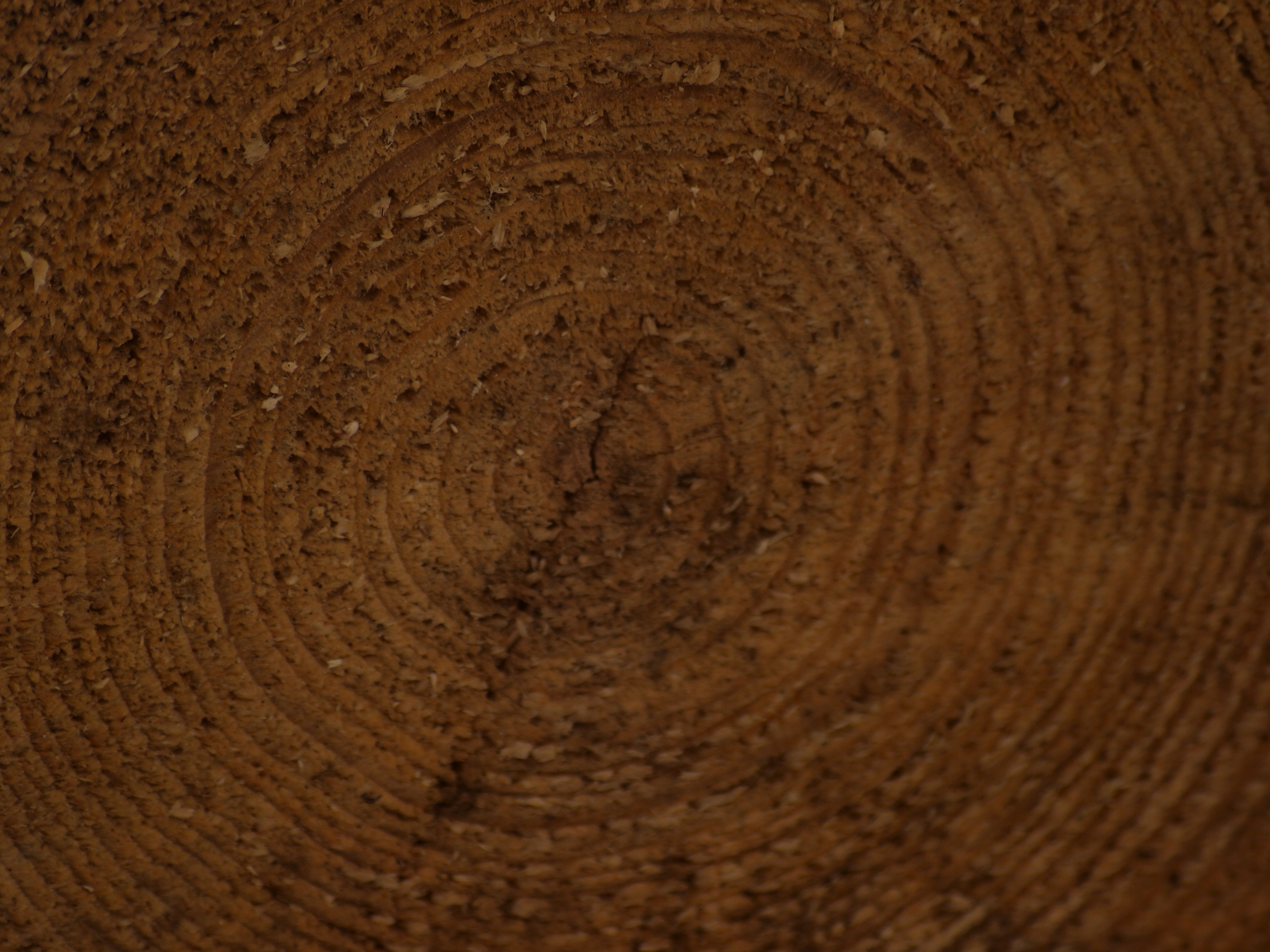 Wood Texture, Cut, Cutted, Hard, Inside, HQ Photo