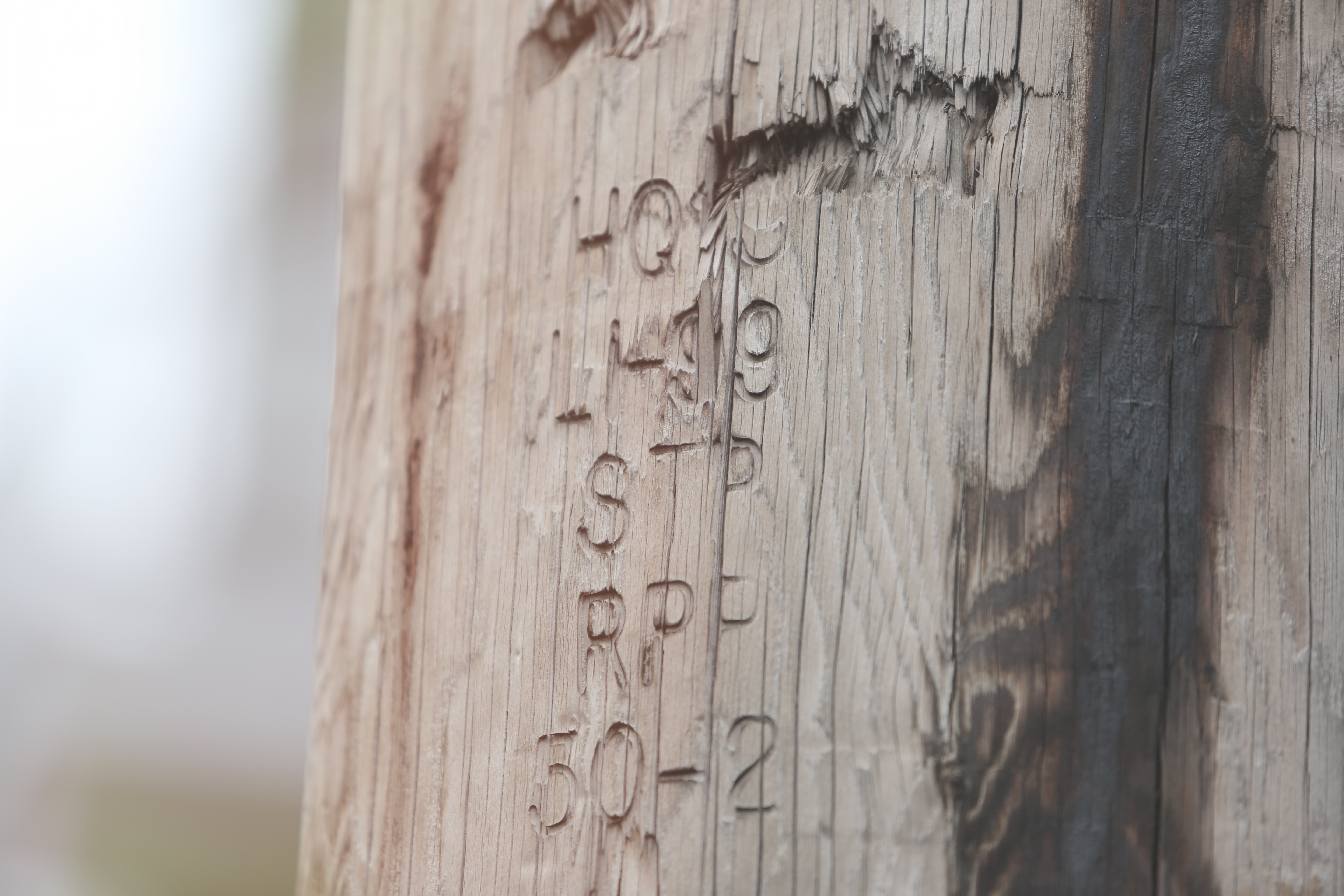 Wood Texture, Alphabets, Code, Numbers, Pylon, HQ Photo