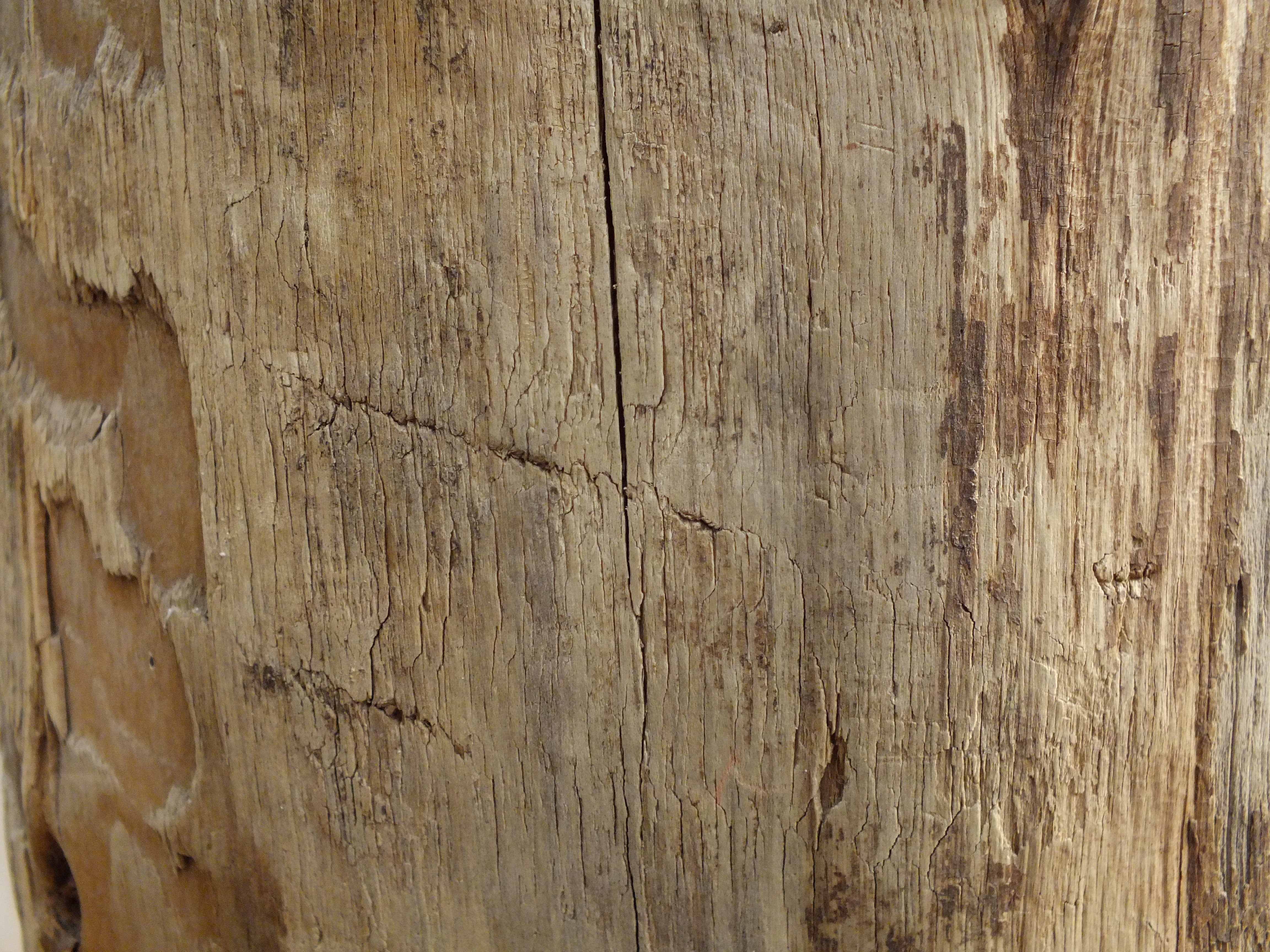 Wood texture, Board, Texture, Tree, Wood, HQ Photo
