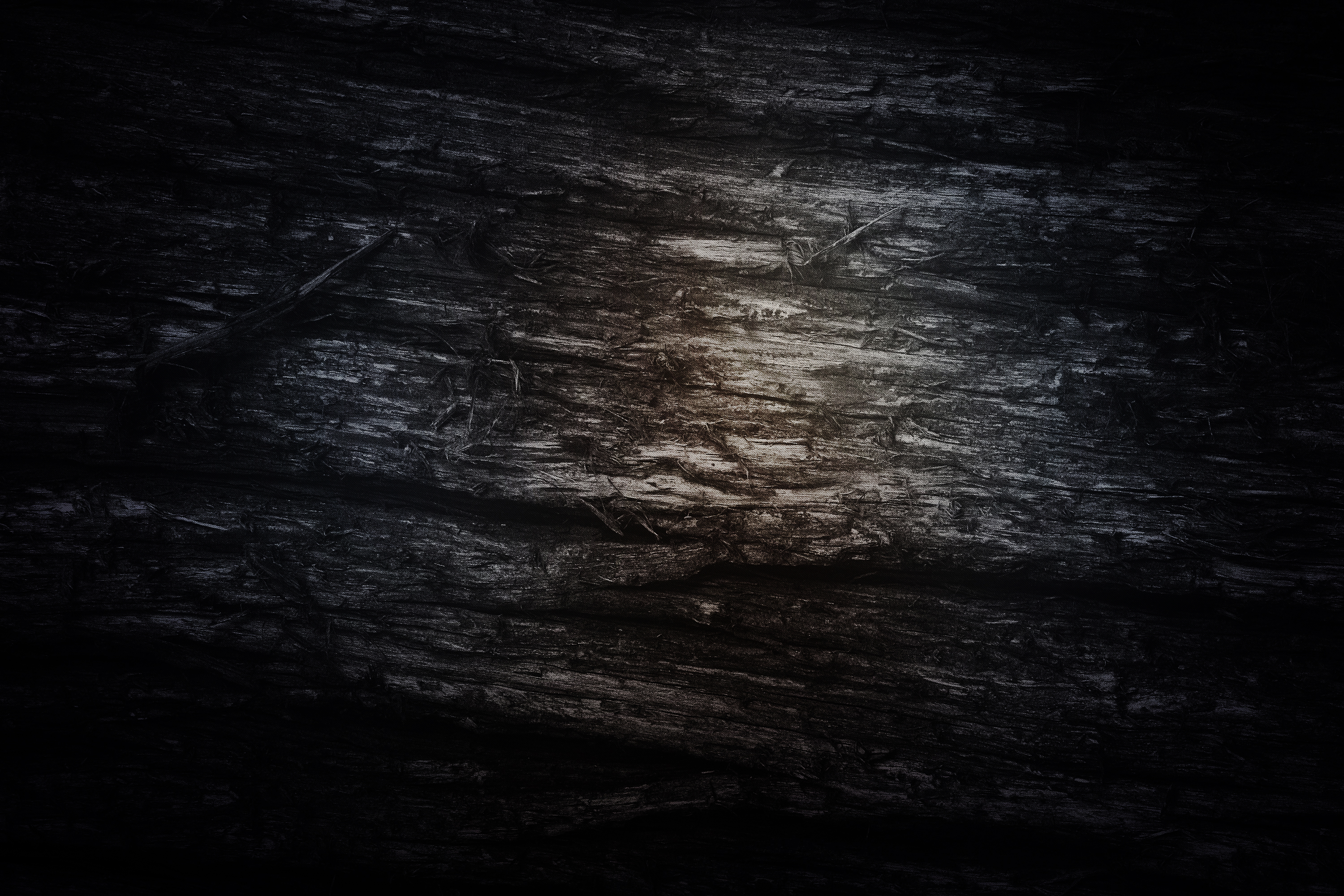 Wood texture, Abstract, Smooth, Material, Nature, HQ Photo