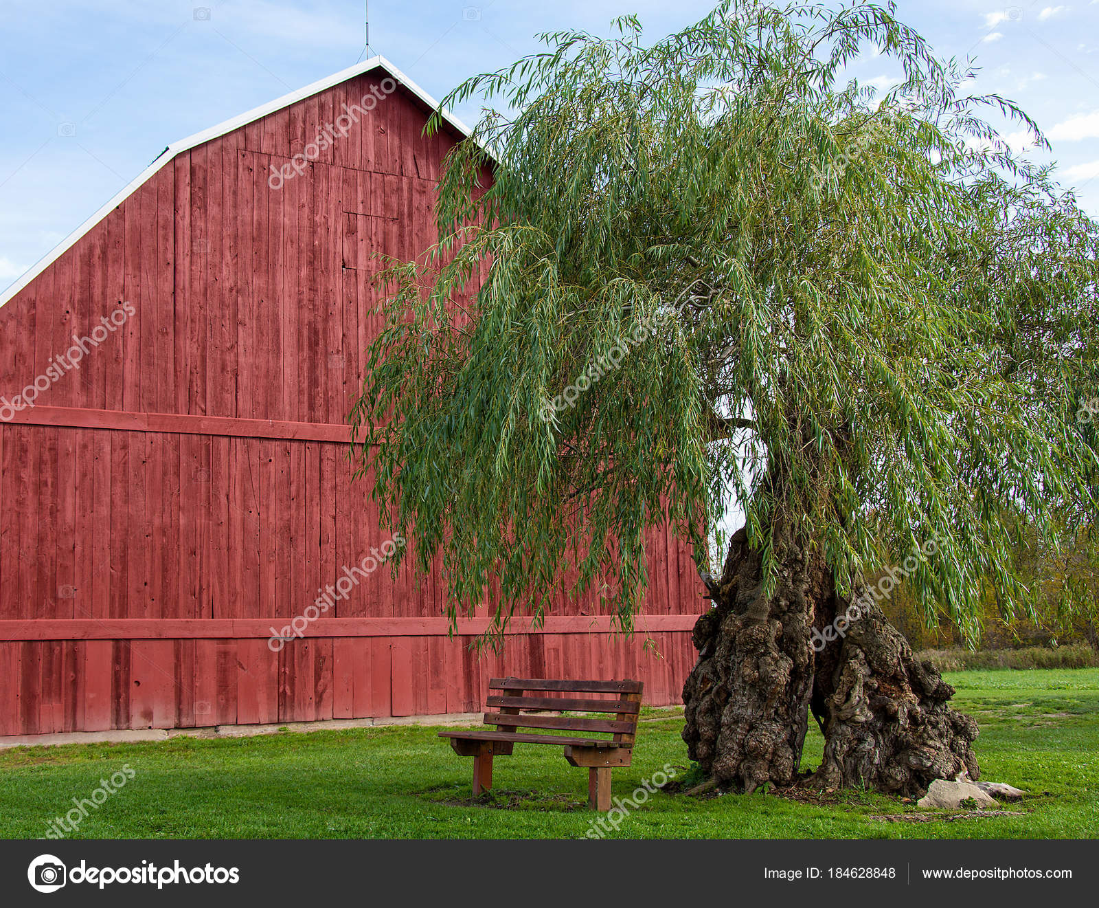 Red Wooden Barn Weeping Willow Tree Empty Bench Grass — Stock Photo ...