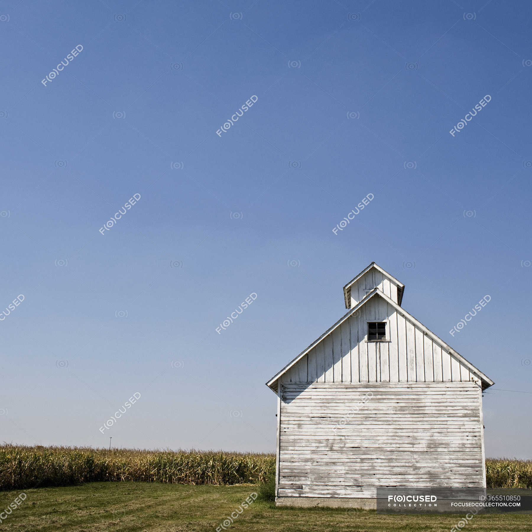 Whitewashed wooden barn in field with blue sky — Stock Photo ...