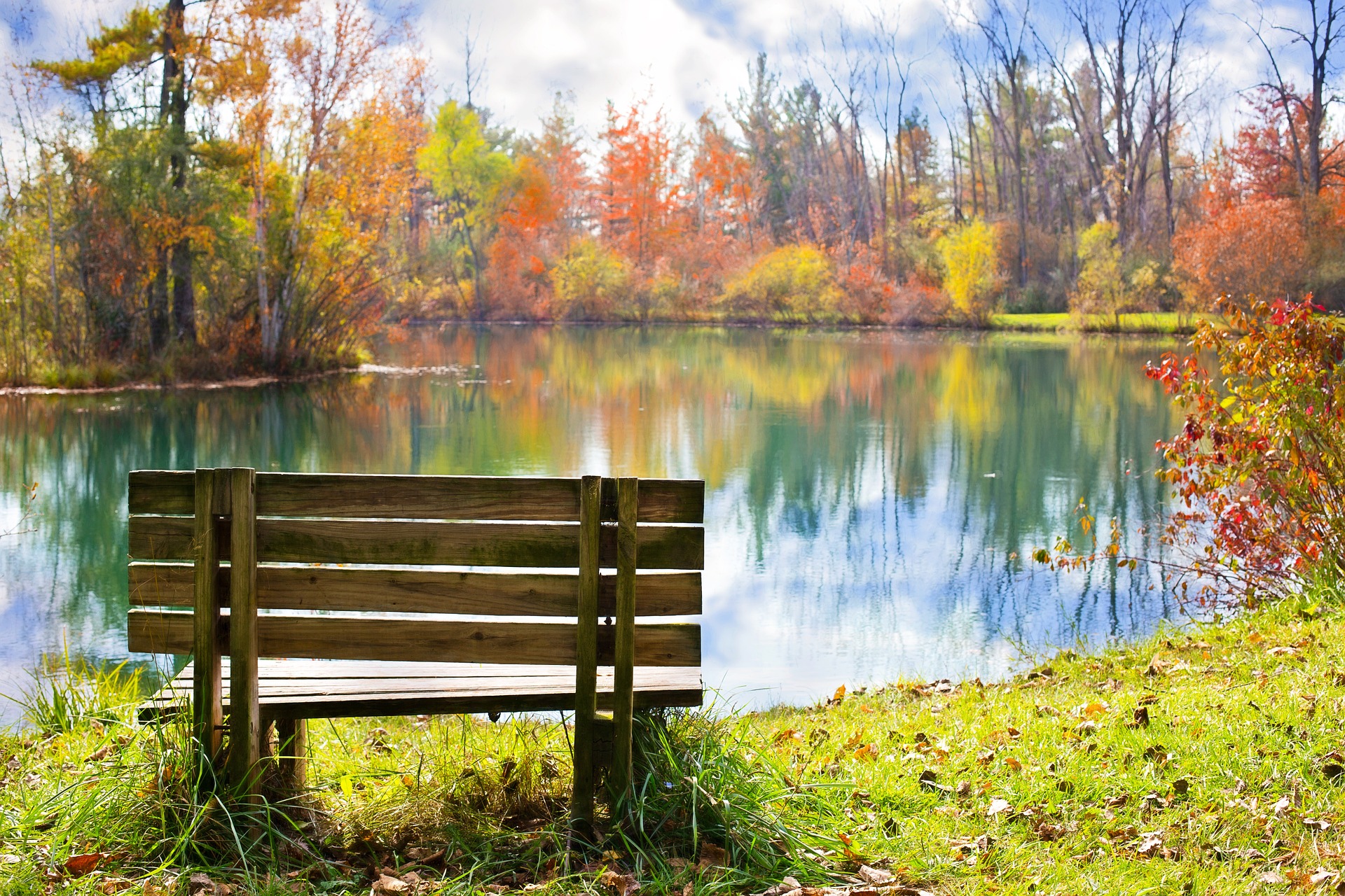 Wooden bench on the bank photo
