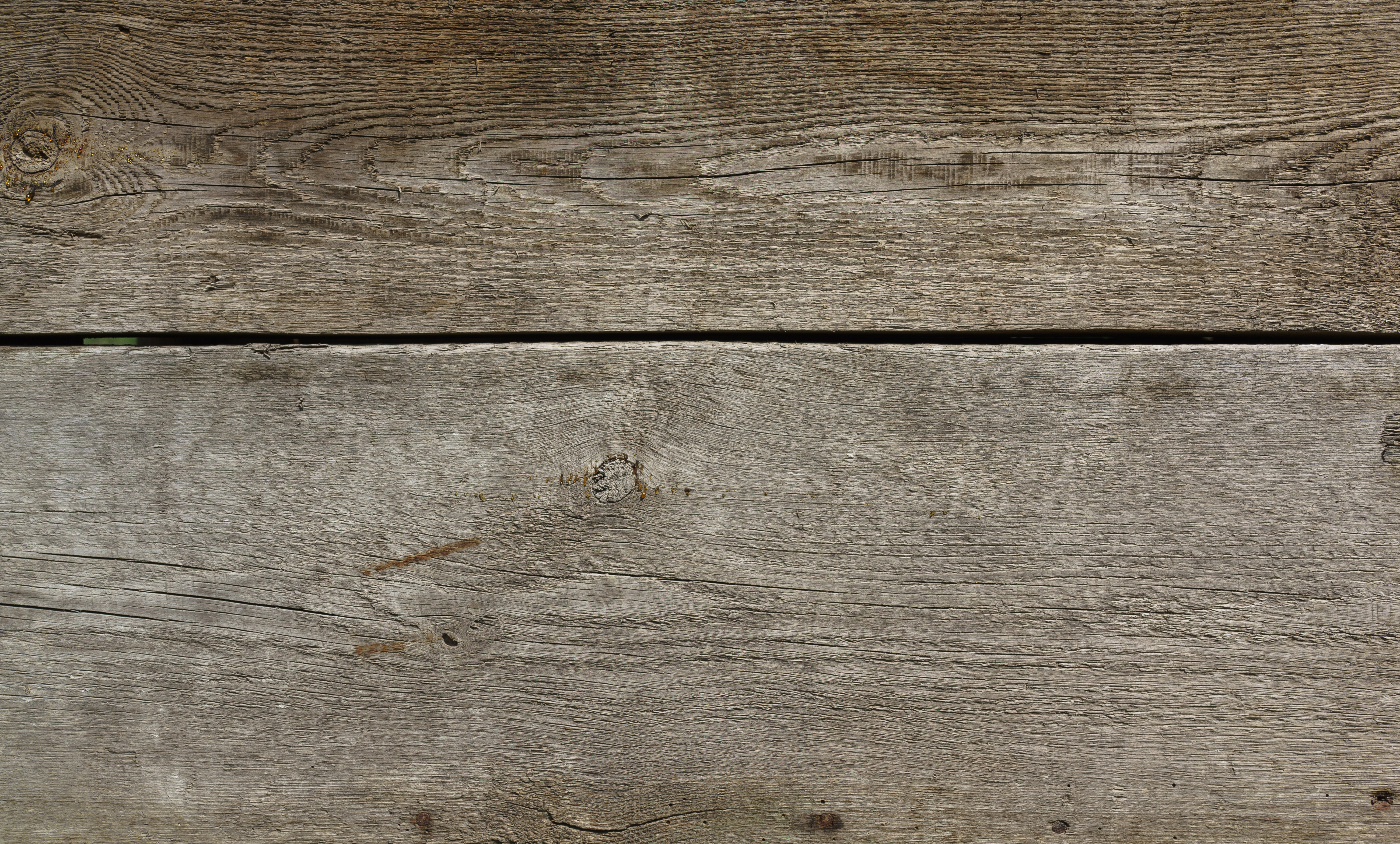 Free high resolution Wood textures | Wild Textures