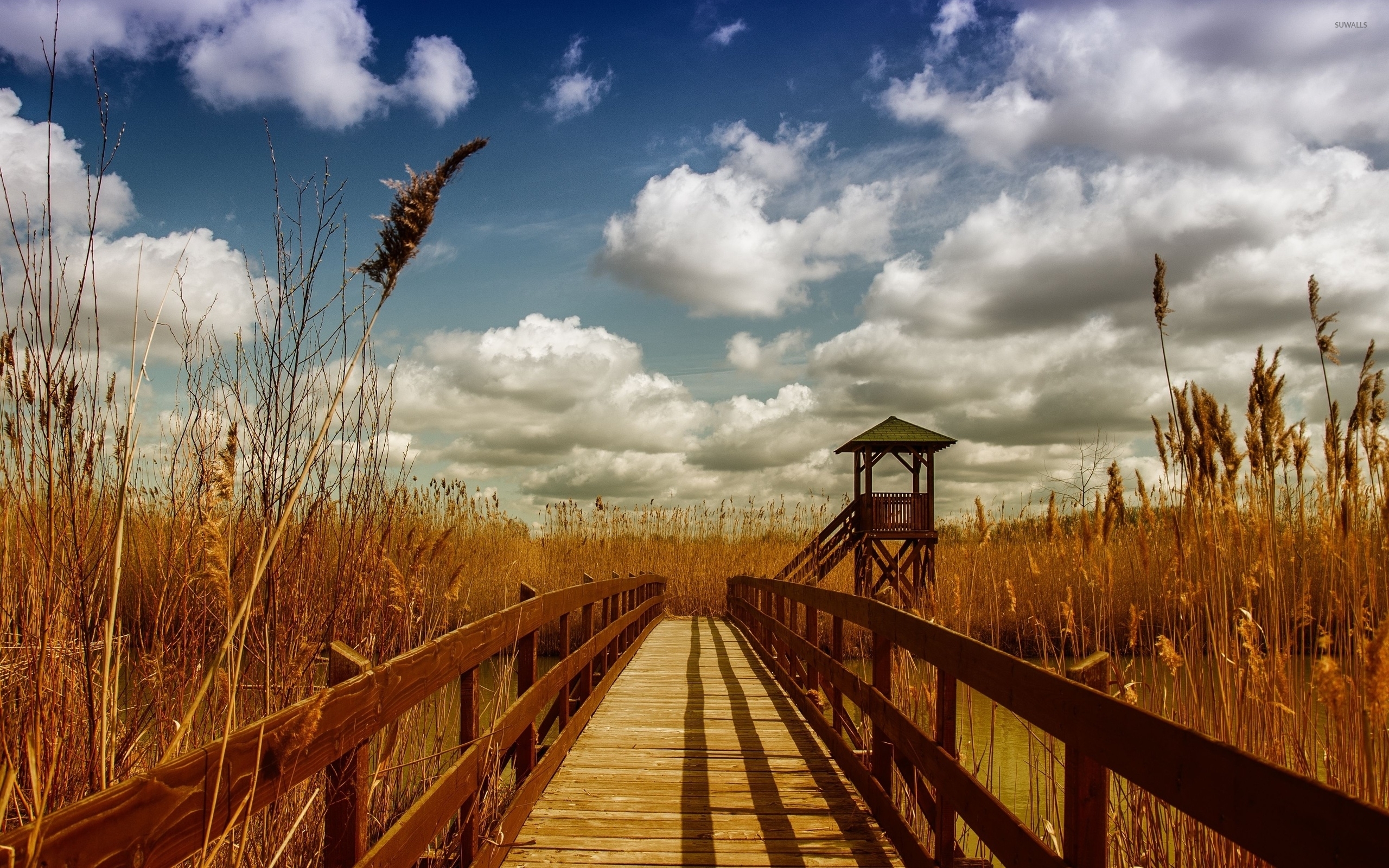Wooden bridge across the river towards the reed wallpaper - World ...