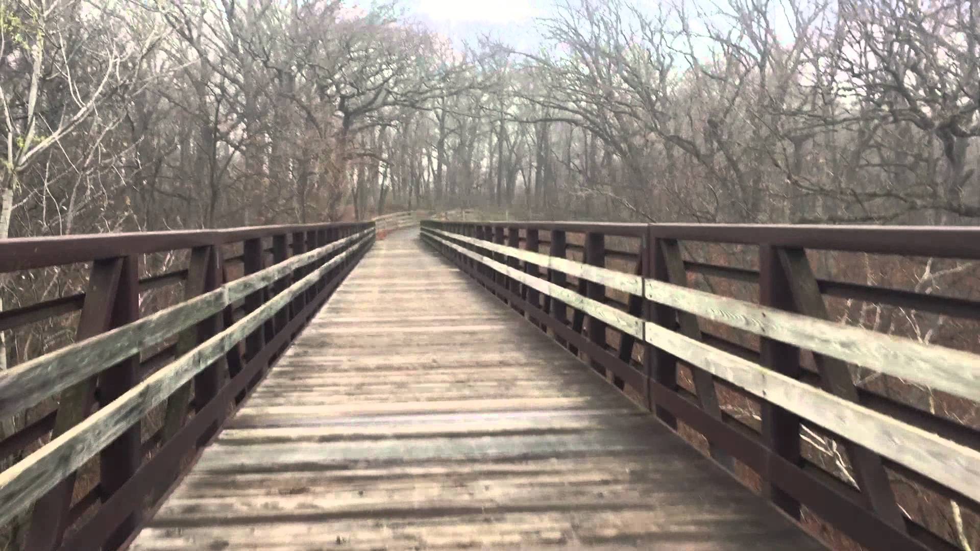Walking on a wooden bridge in the Forest - YouTube