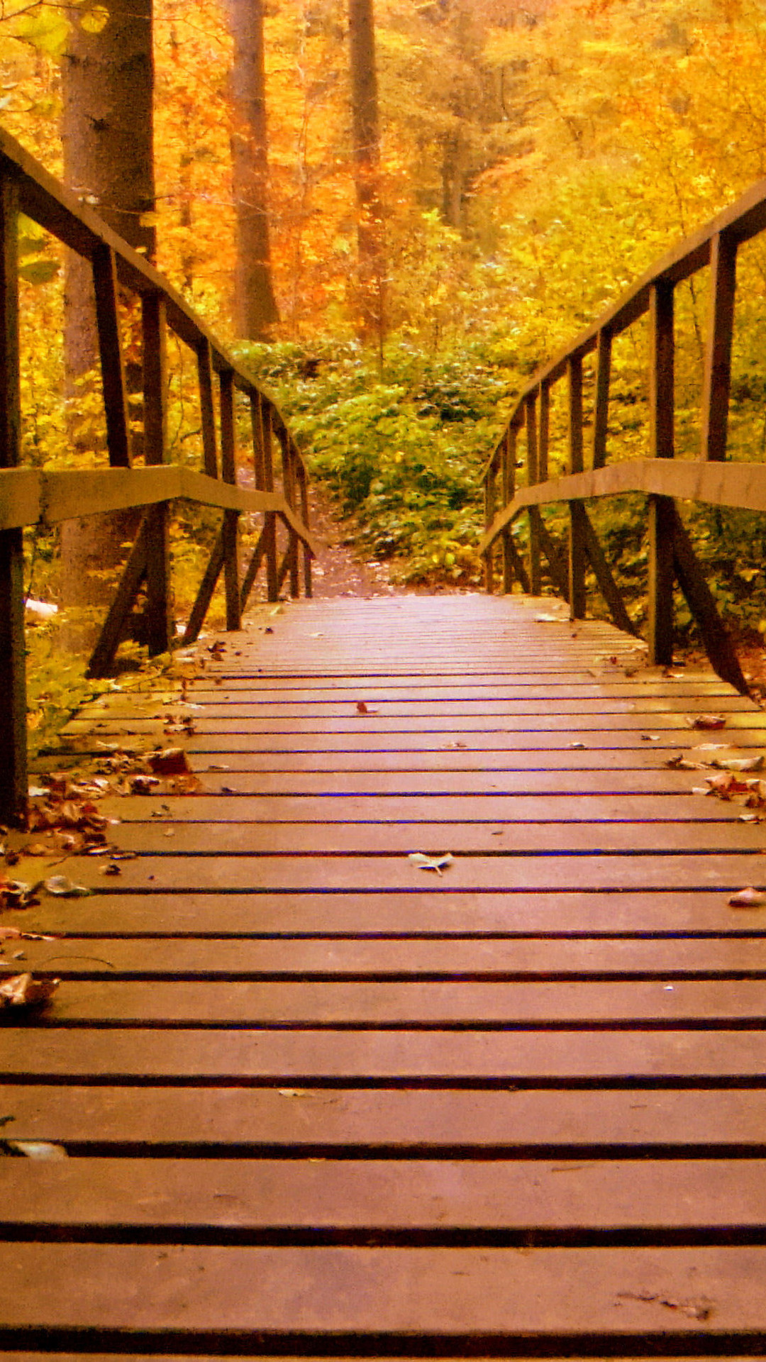 1080x1920 Wooden Bridge Forest Autumn Leaves Iphone 7,6s,6 Plus ...
