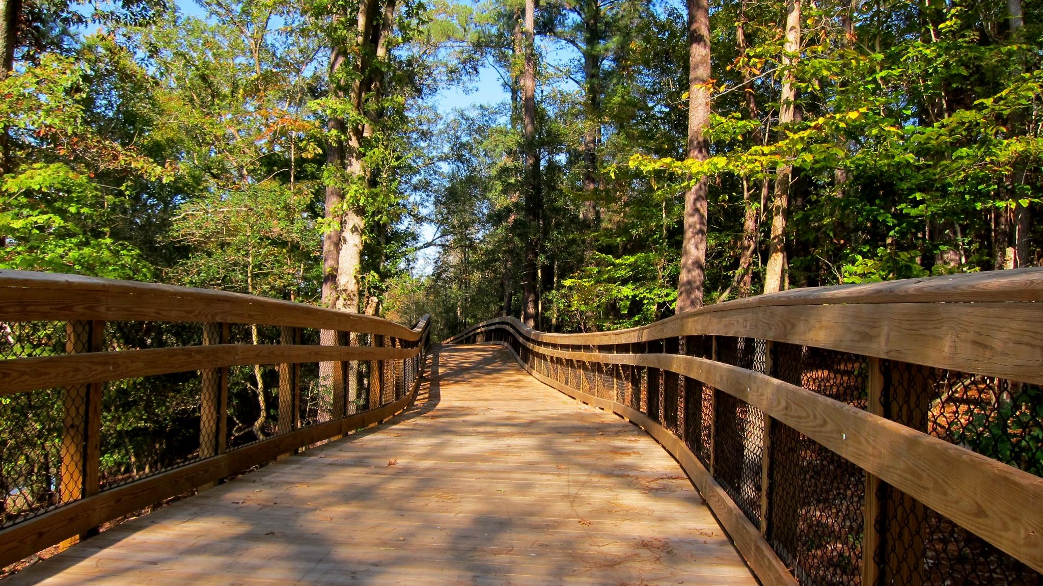 Wooden Bridge, Neuse River Trail | 61793 | TrailLink.com