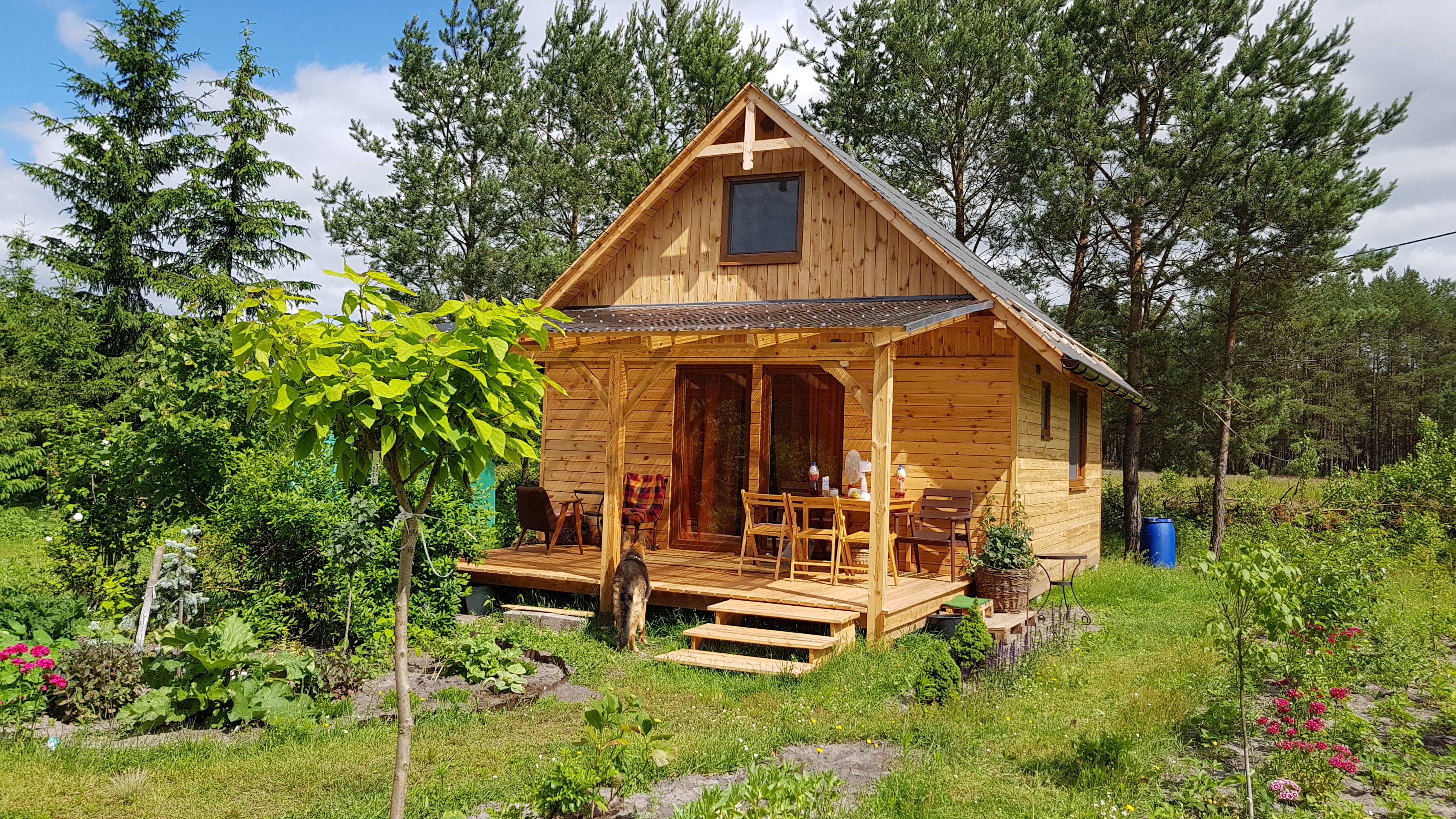 Wooden cabin | poland forest holidays