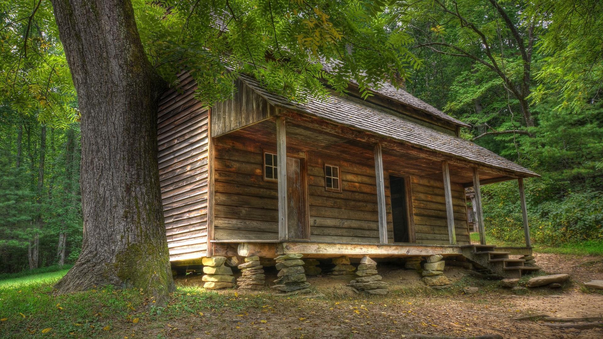 Deserted wooden cabin in the woods wallpaper | nature and landscape ...