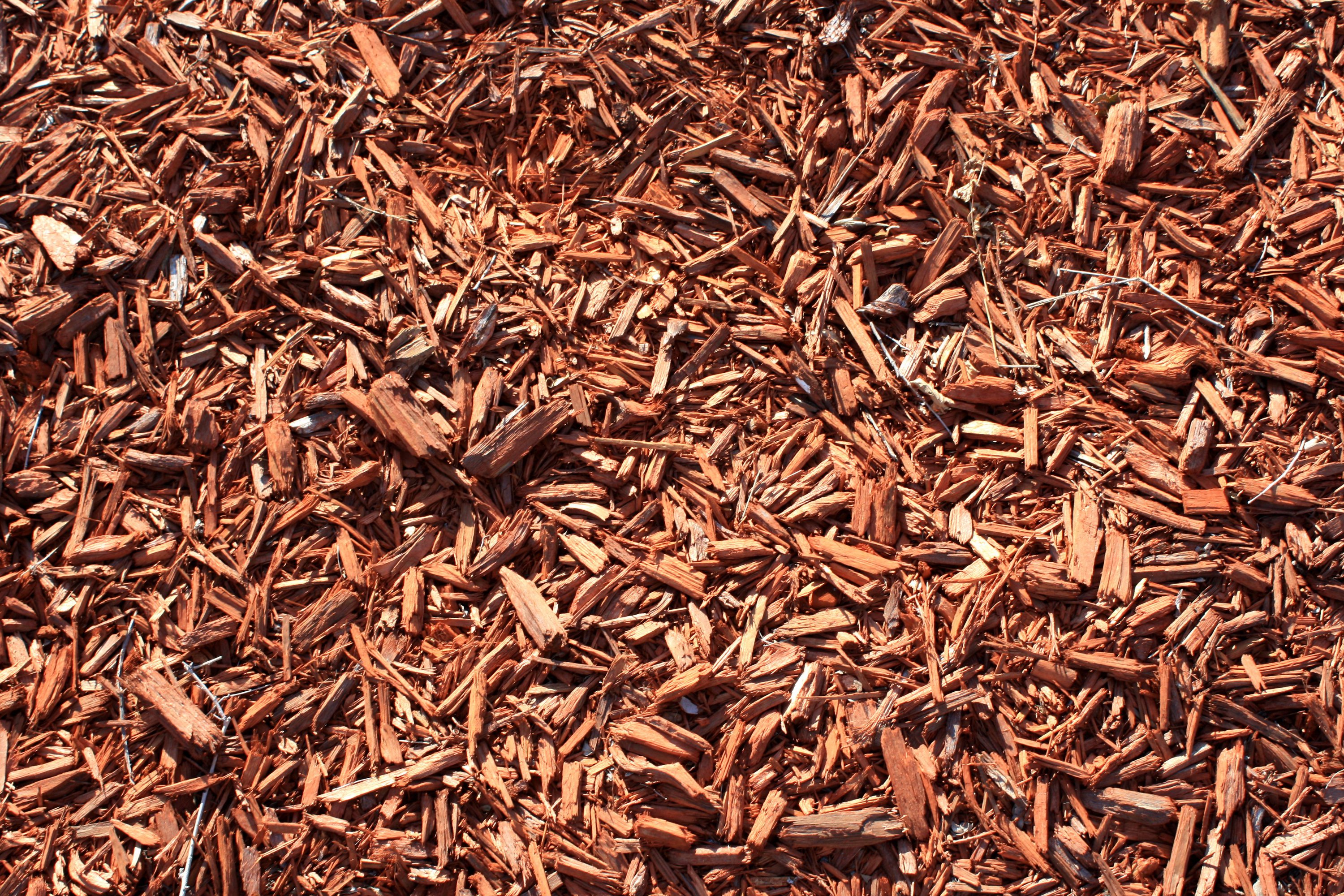 Red Wood Chips Picture | Free Photograph | Photos Public Domain