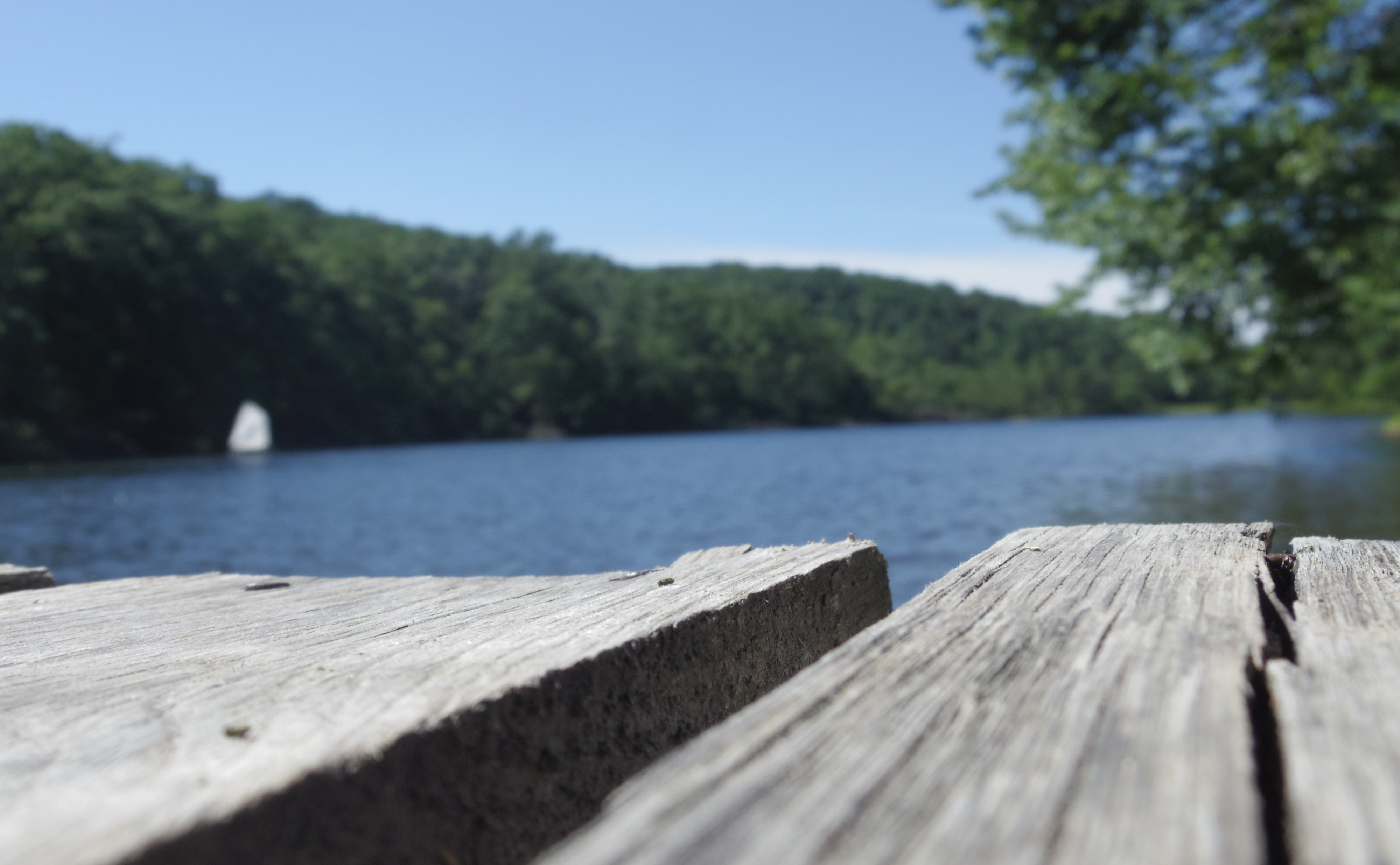 File:Edge of wooden dock by lake in Tennessee.jpg - Wikimedia Commons