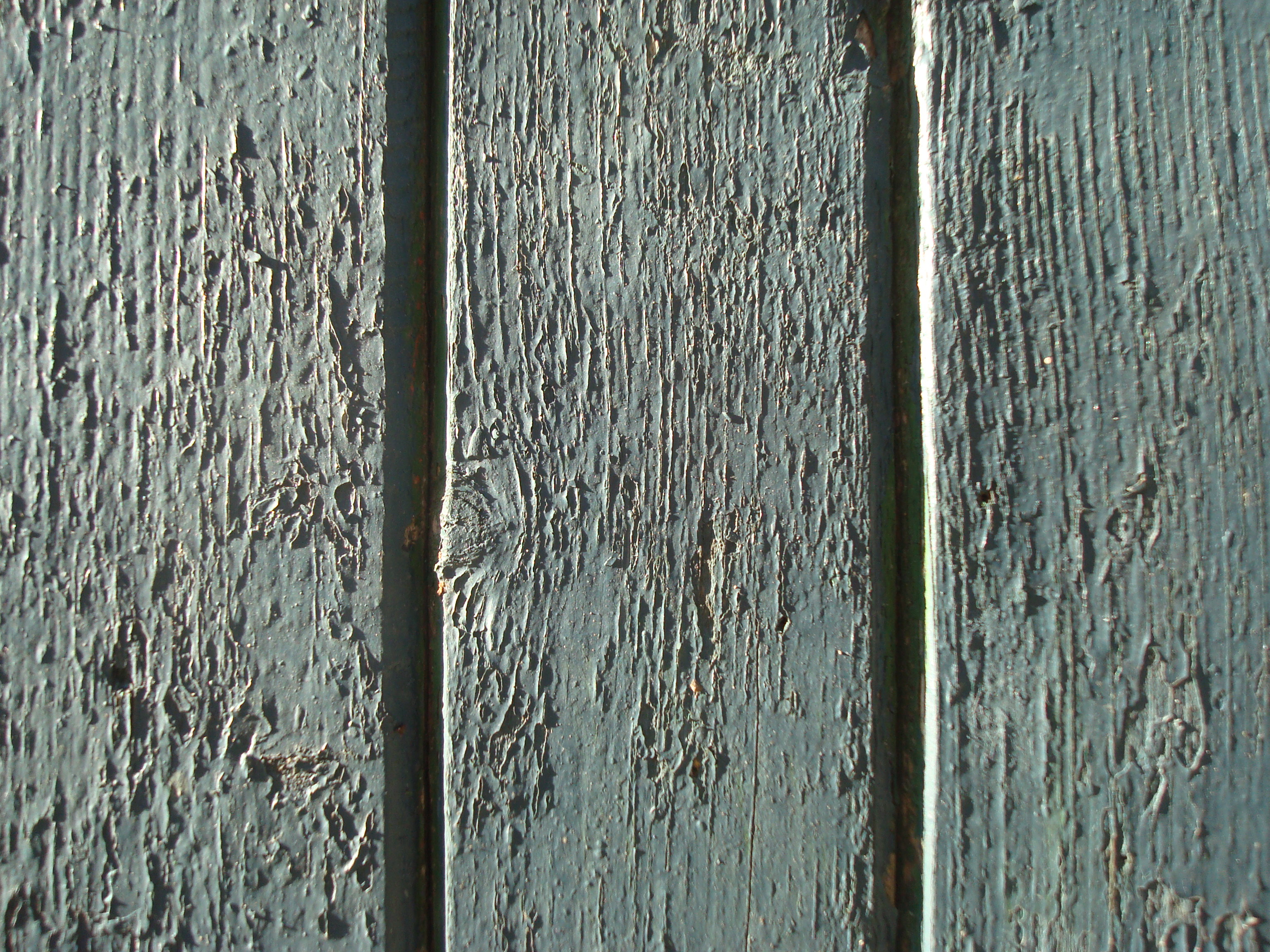 Wooden door texture photo