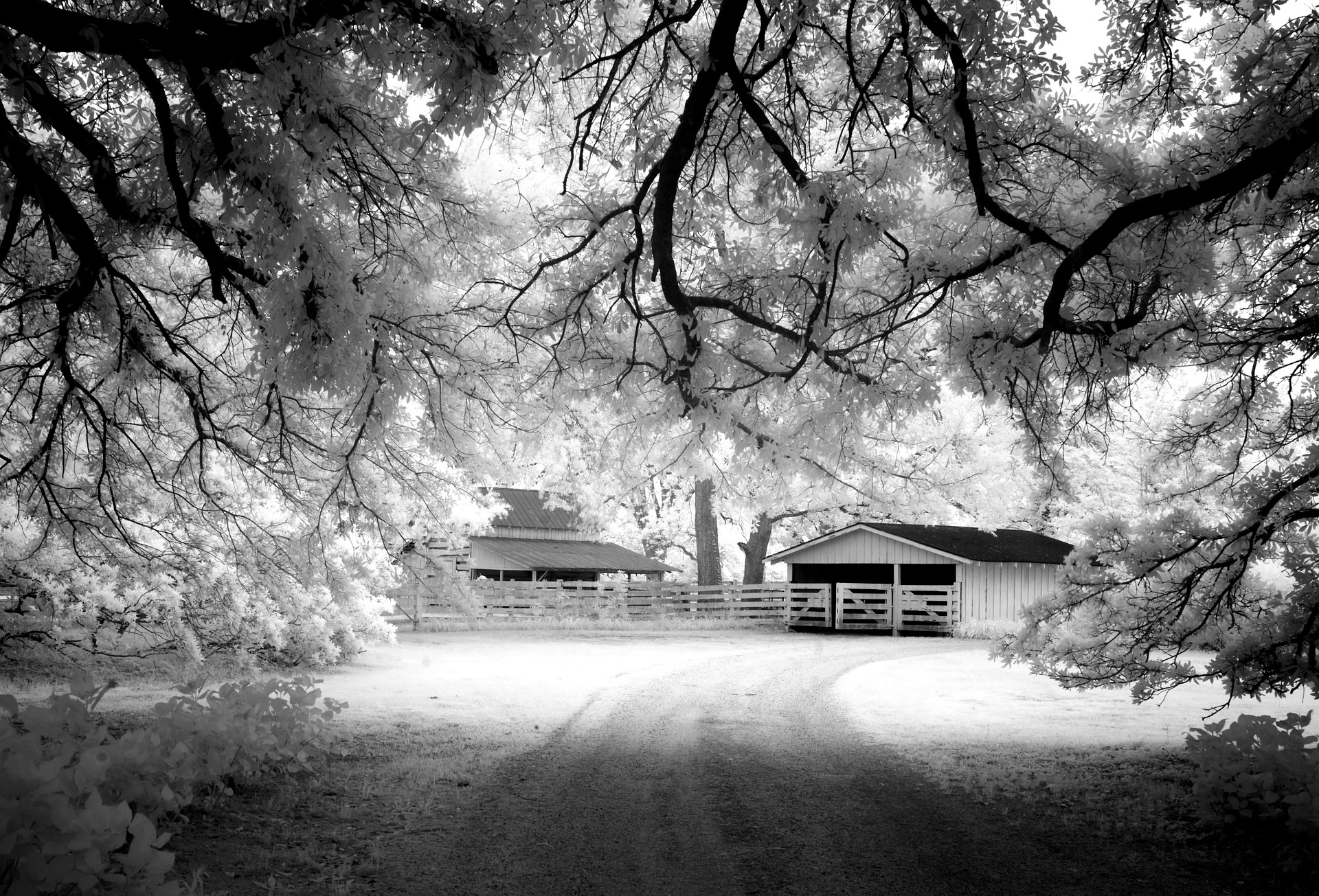Wooden farm house photo